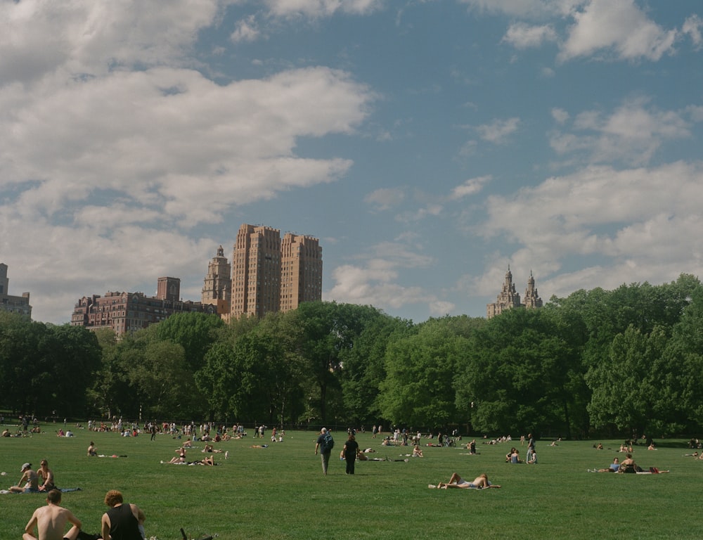 a large group of people sitting on top of a lush green field