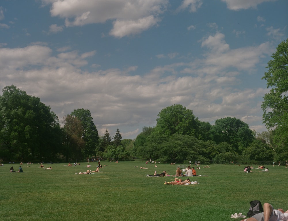 a group of people laying on top of a lush green field