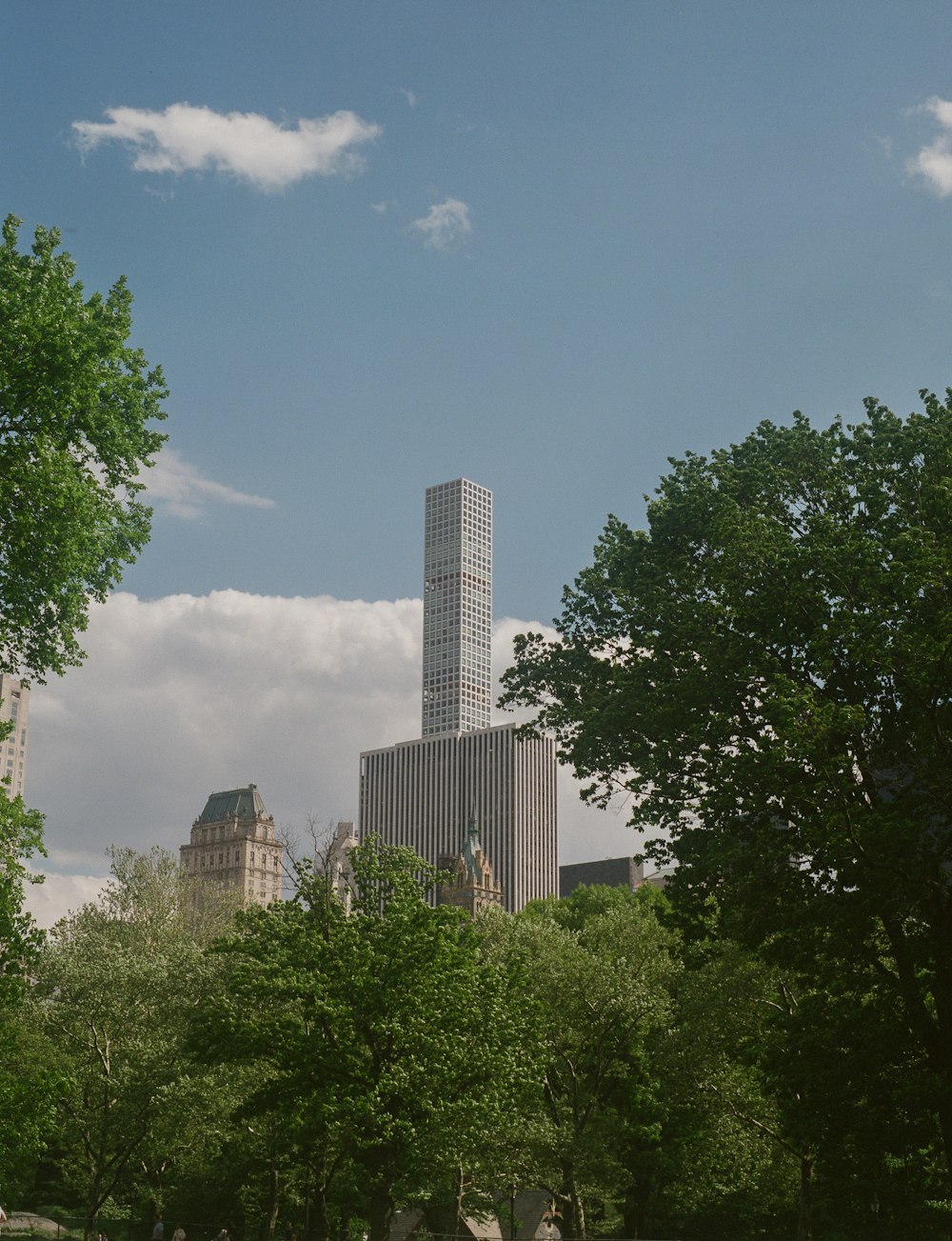 a tall building towering over a lush green park