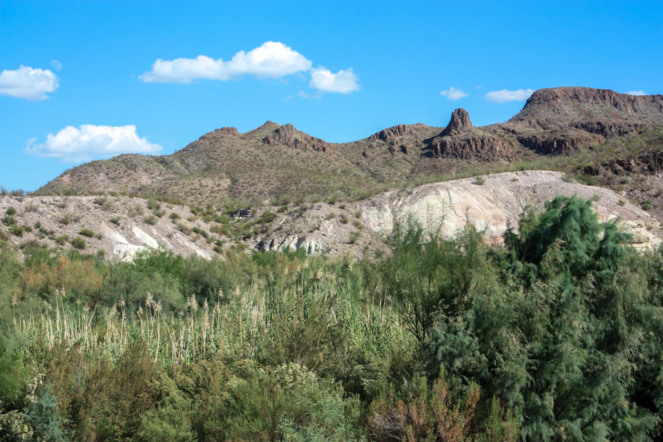 The image depicts a mountainous landscape with a clear blue sky and fluffy white clouds. The mountains, covered in lush green vegetation, rise majestically against the backdrop of the azure sky. In the foreground, there are trees and shrubs scattered across the scene, adding depth to the image. The perspective is from below, looking up at the towering peaks, creating a sense of grandeur and scale.