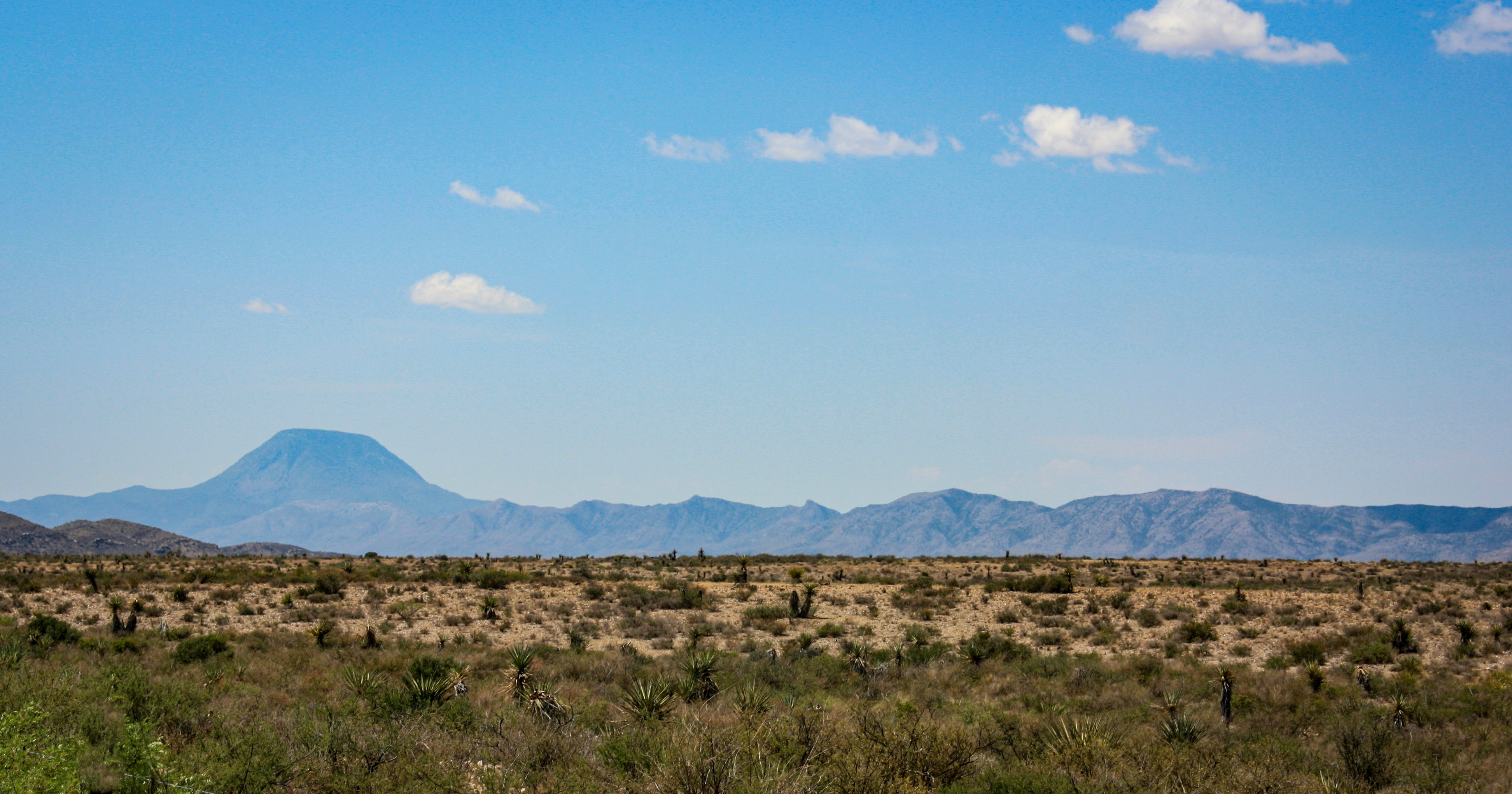 Desert grasslands of West Texas