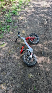 A small, child-sized balance bike with red and white coloring lies on its side on a dirt path surrounded by greenery and scattered rocks.