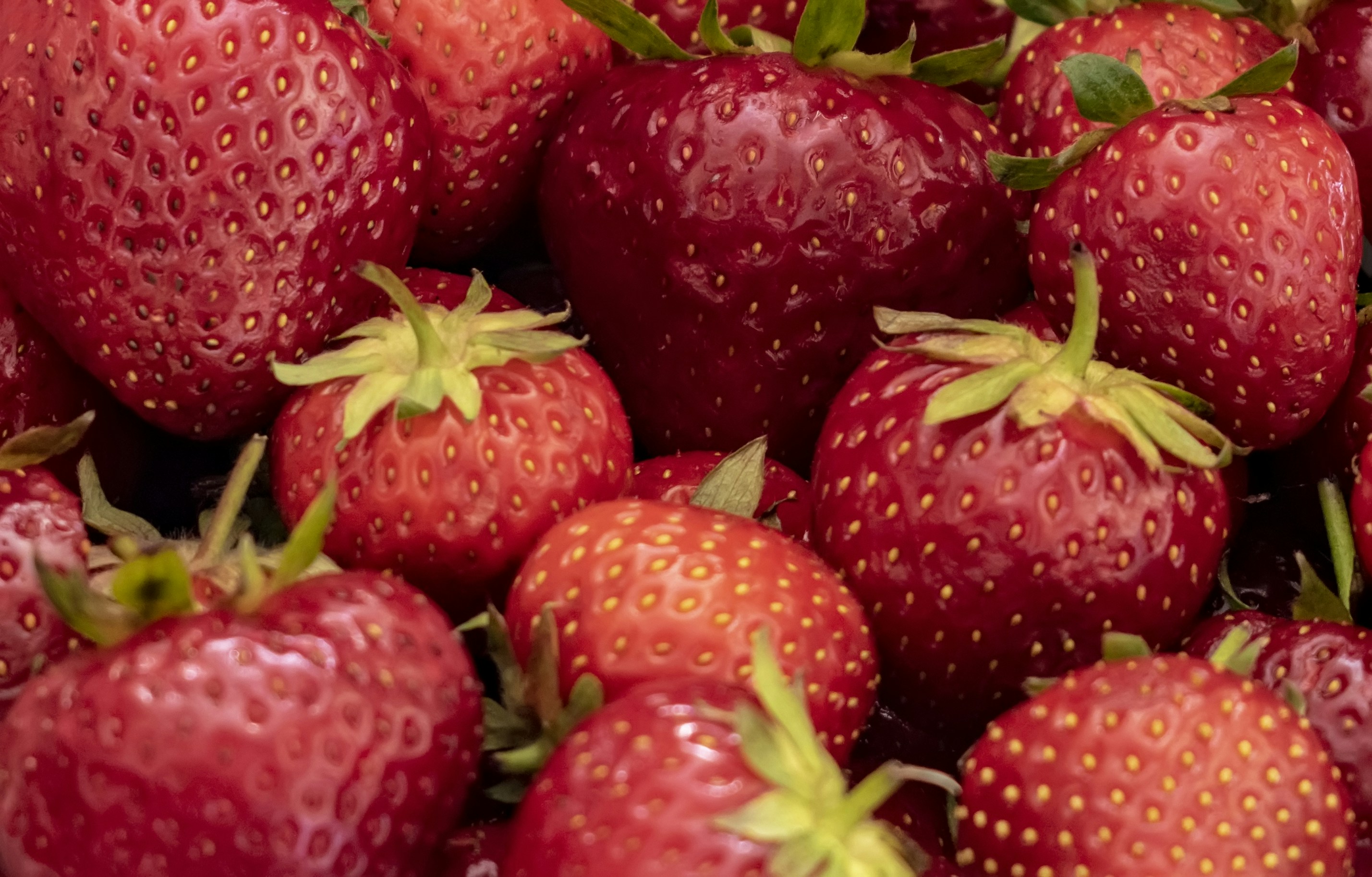 Photo by kostiantynvierkieiev