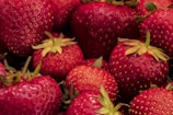 a close up of a bunch of strawberries