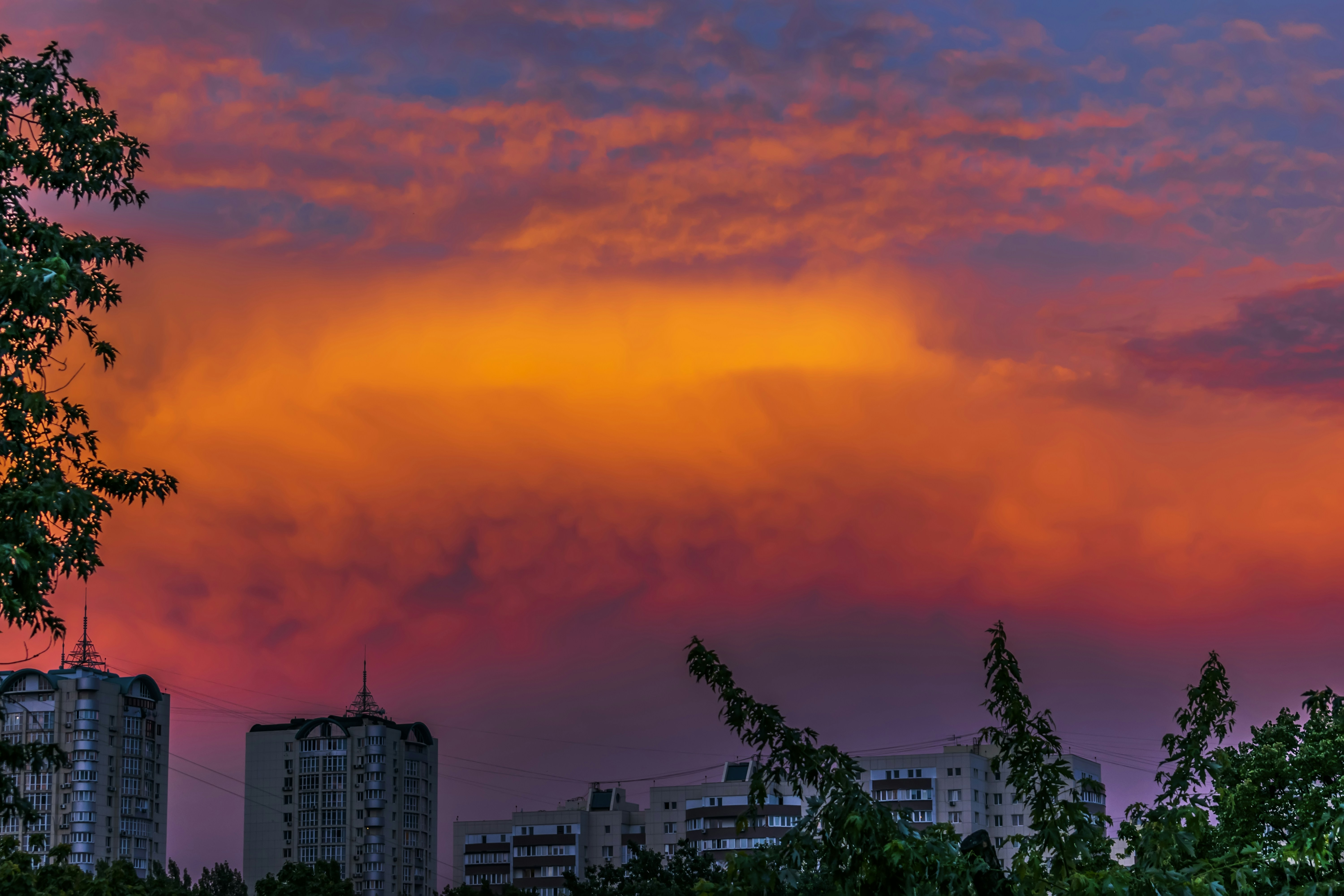 Photo by kostiantynvierkieiev