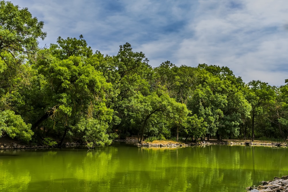 a body of water surrounded by trees and rocks