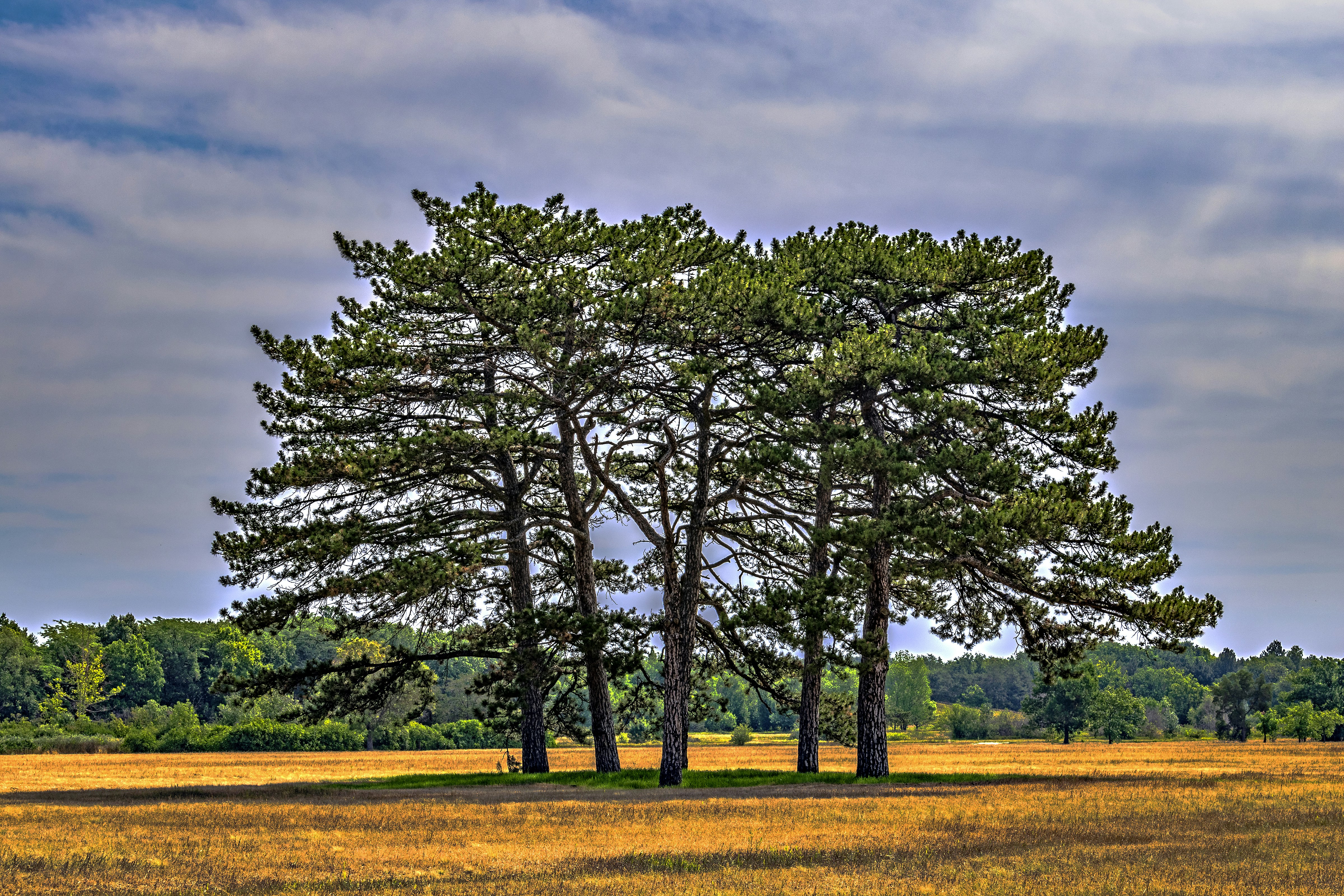 Photo by kostiantynvierkieiev