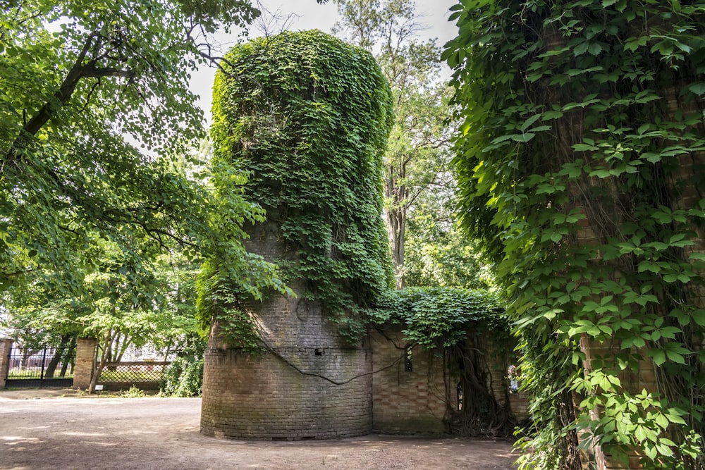 a brick structure covered in vines in a park