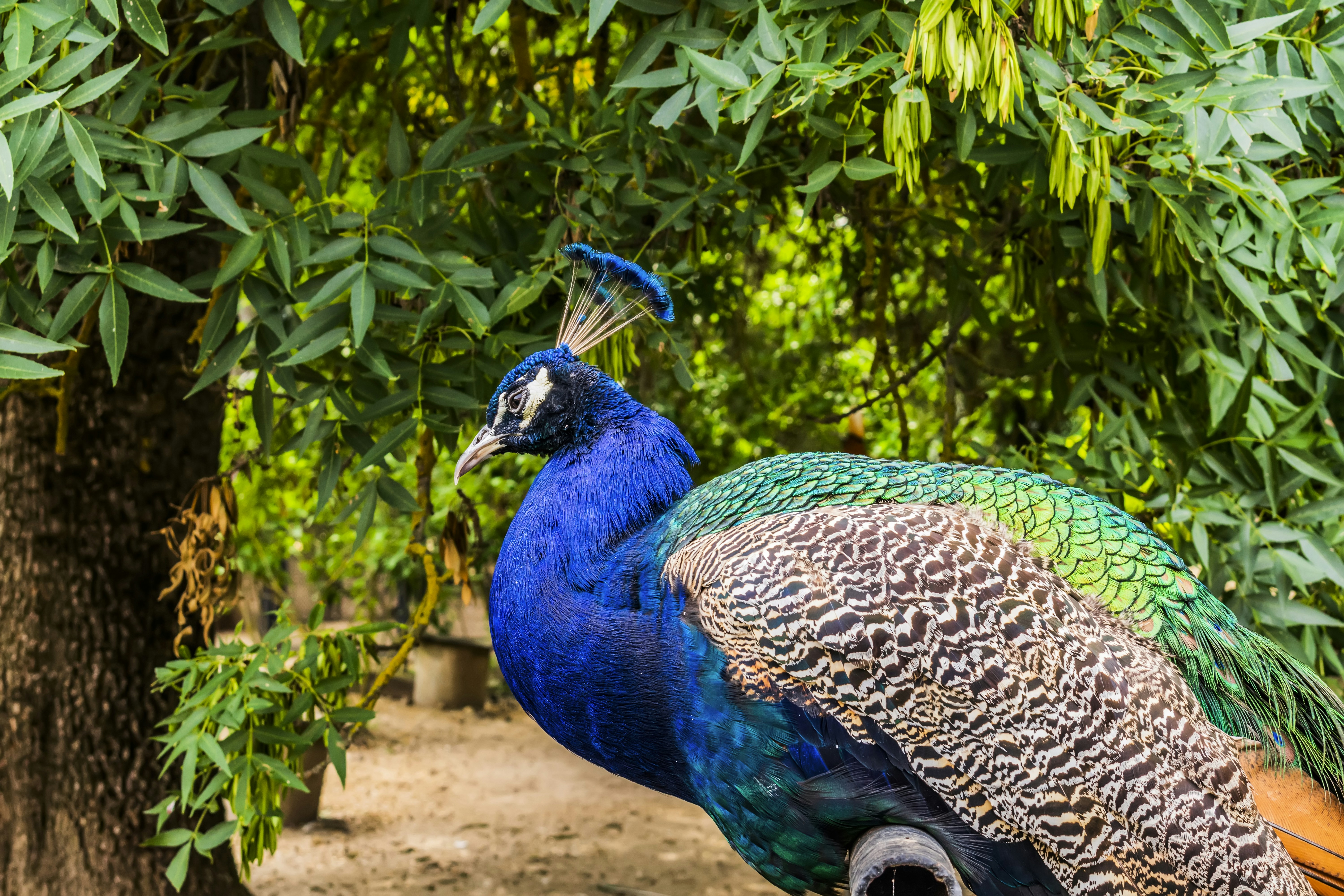 Photo by kostiantynvierkieiev