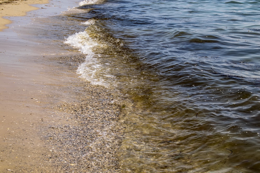 une plage de sable à côté d’un plan d’eau
