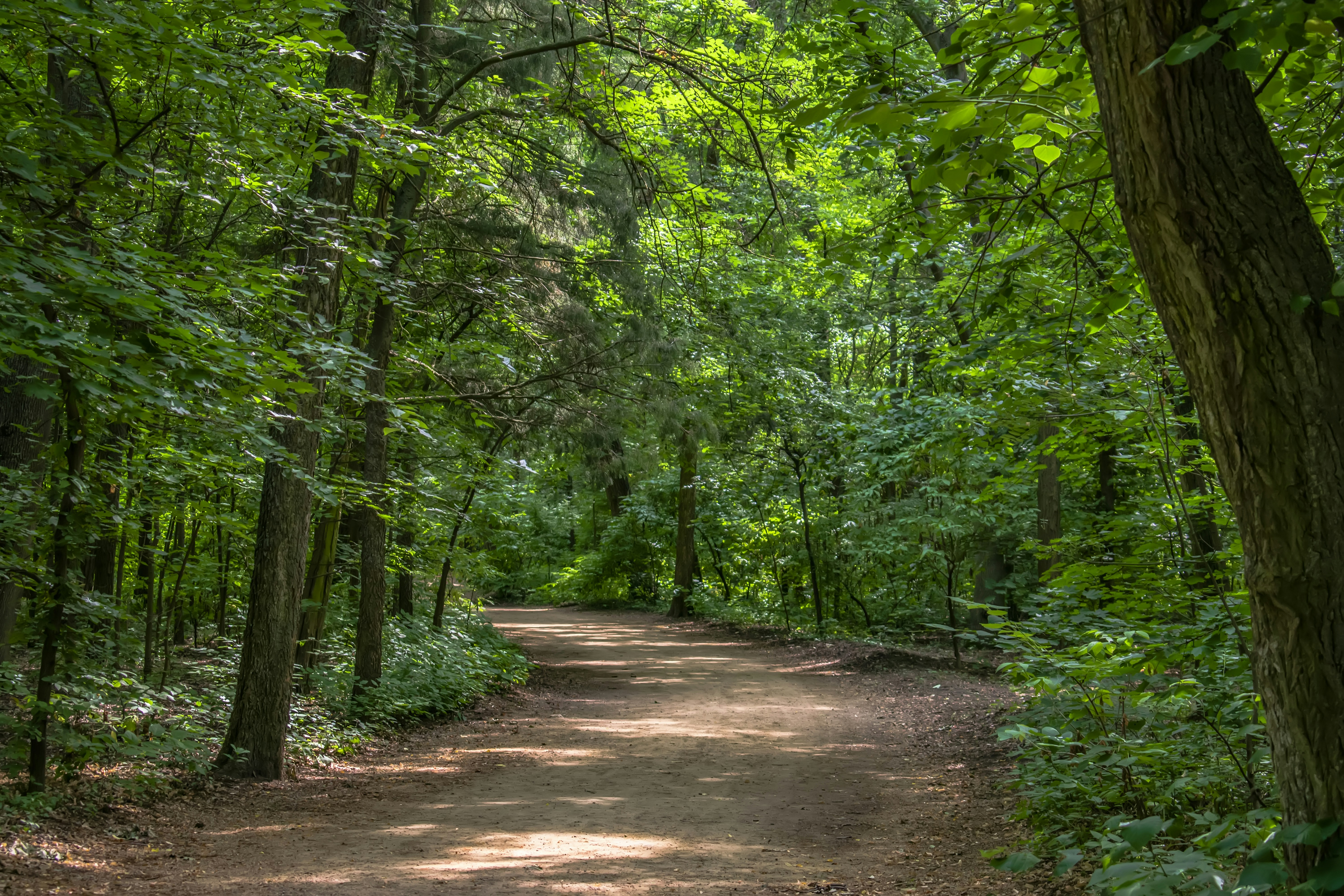 Photo by kostiantynvierkieiev