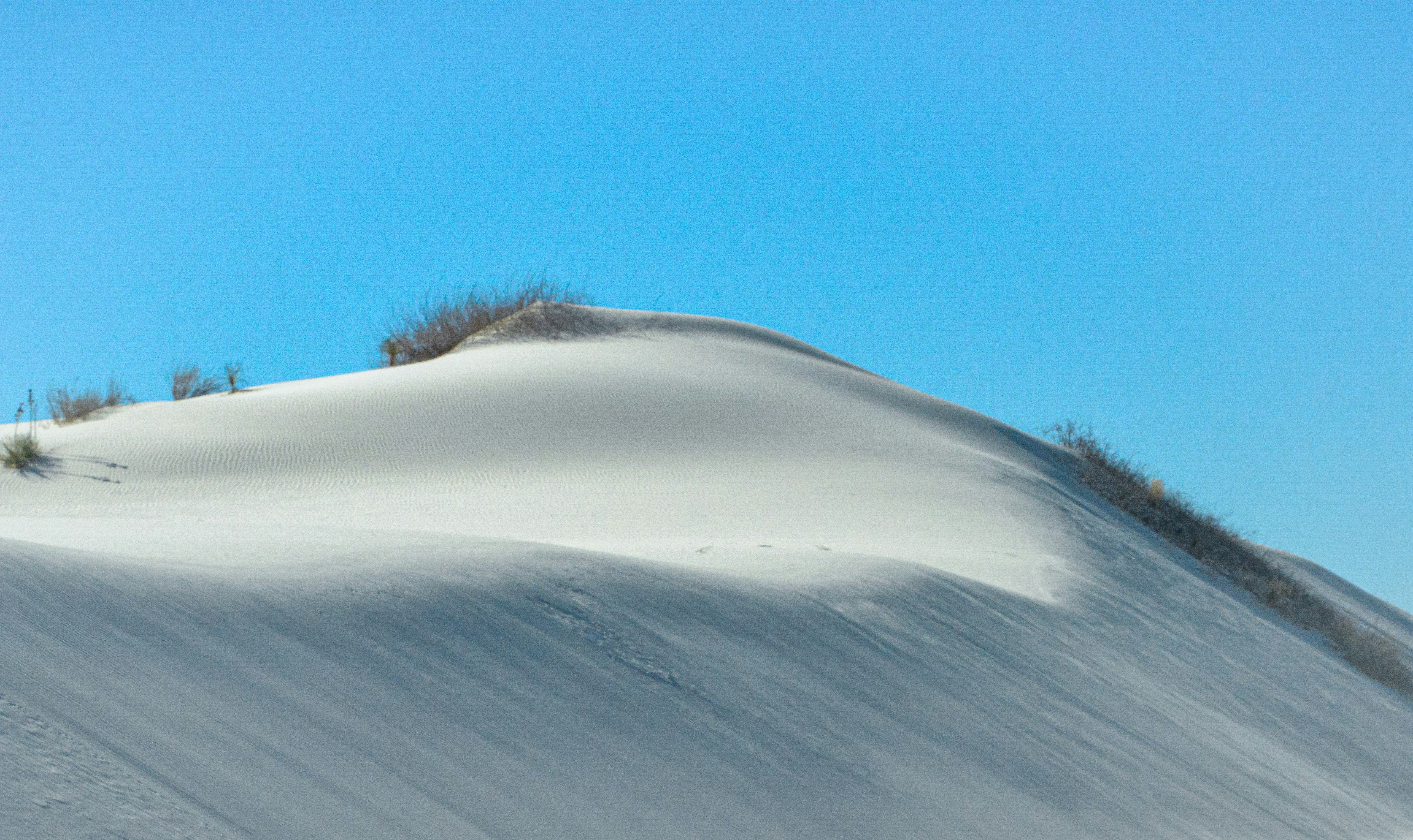 White Sands National Park, USA - None