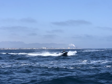 Scenic Cruising Whale Channel port