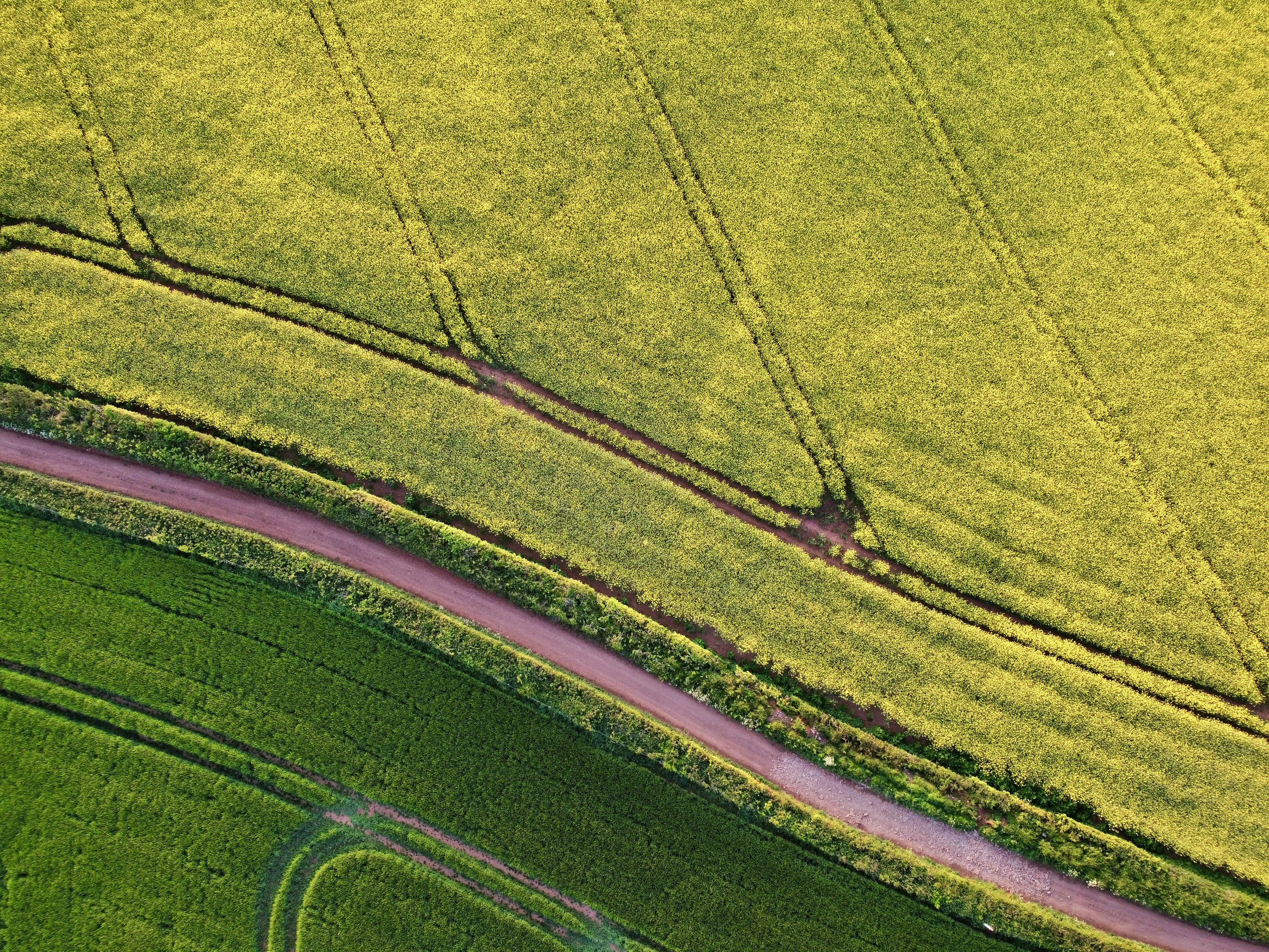 Photo by throughjackseyes