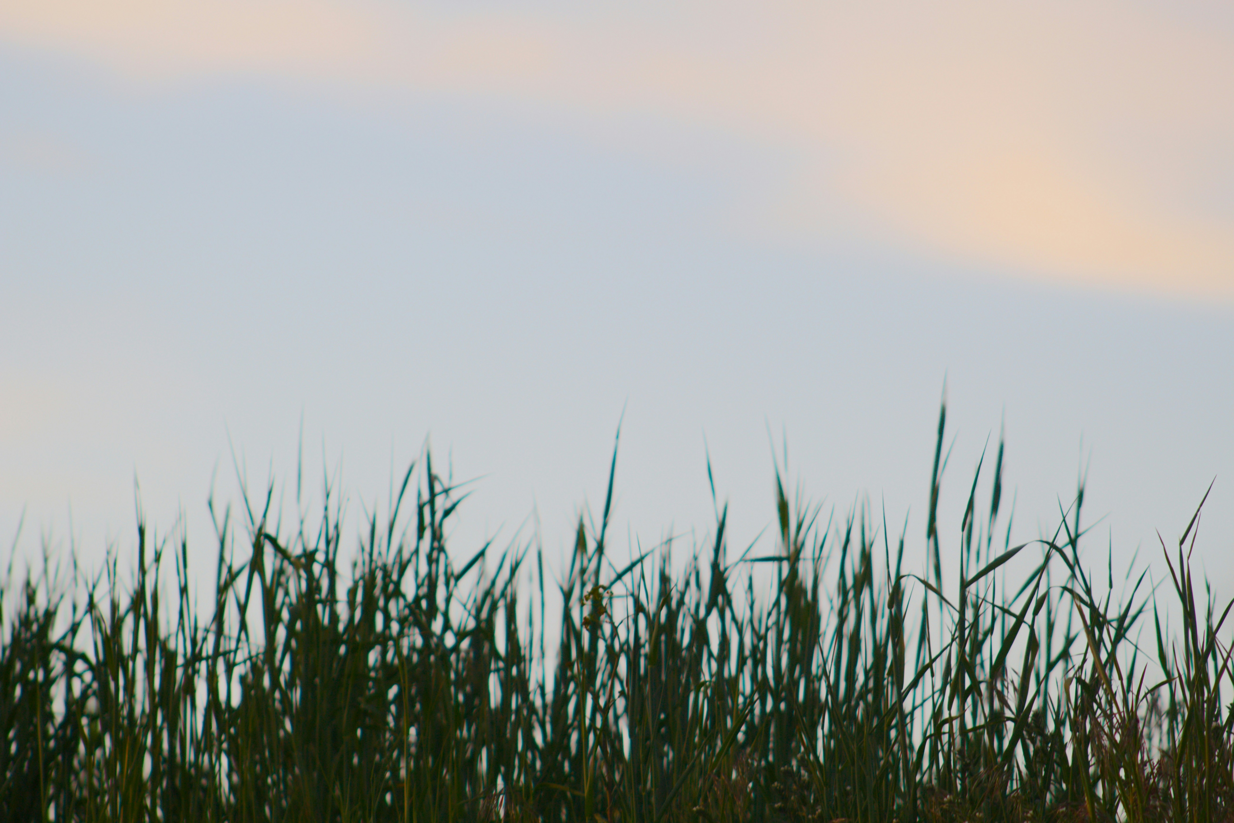 Photo by joshua_hoehne