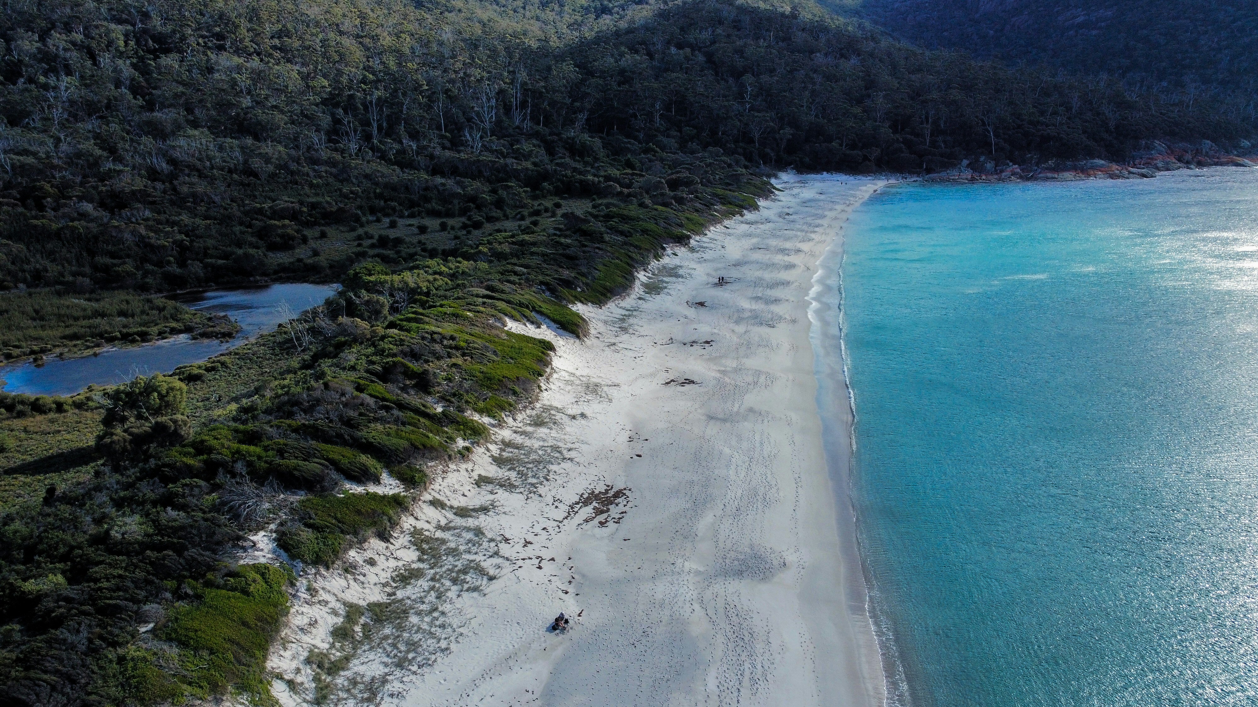 una veduta aerea di una spiaggia e di un'area boschiva