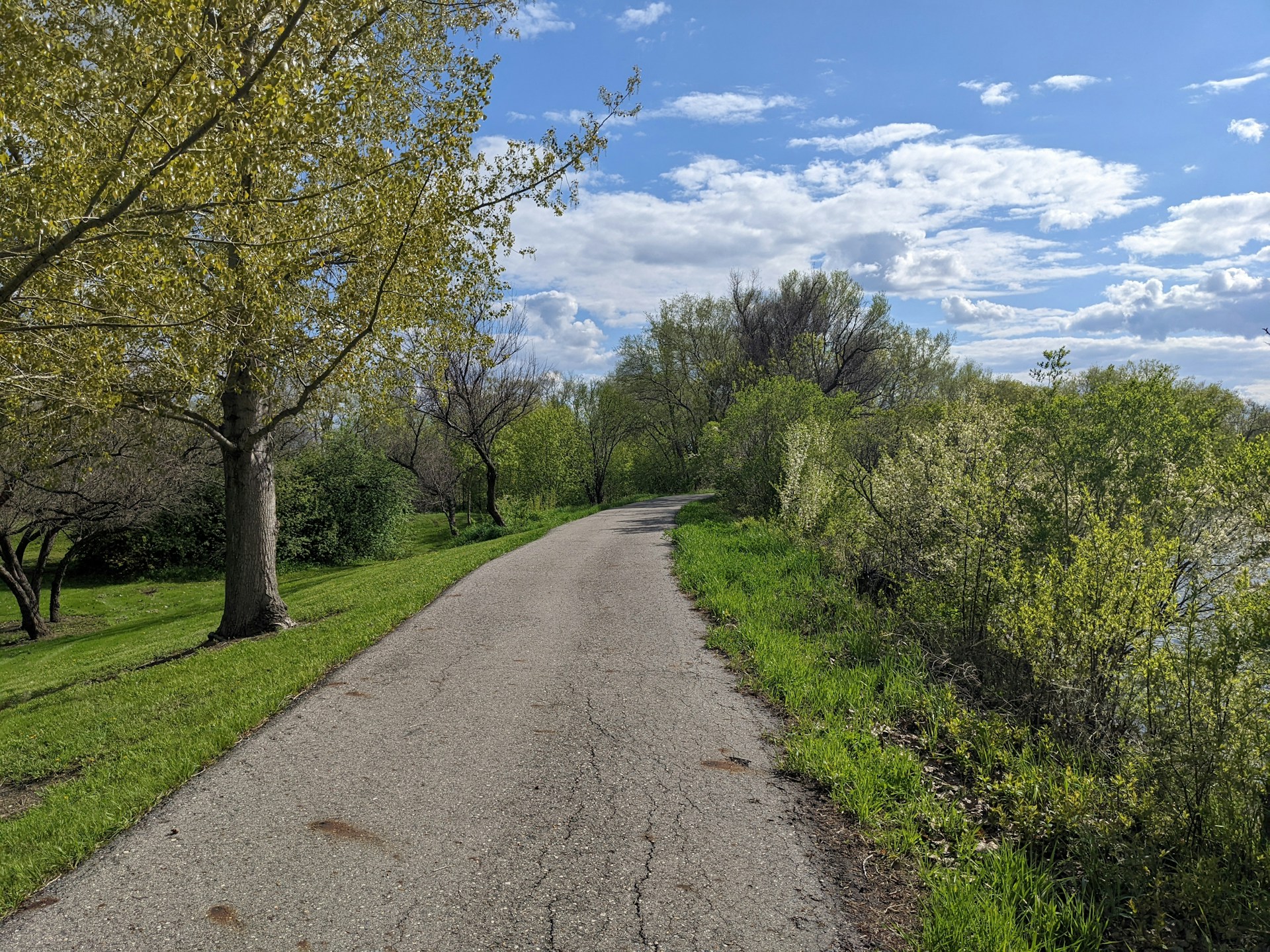 A freshly paved stone pathway winding through a lush green lawn with young trees and shrubs.