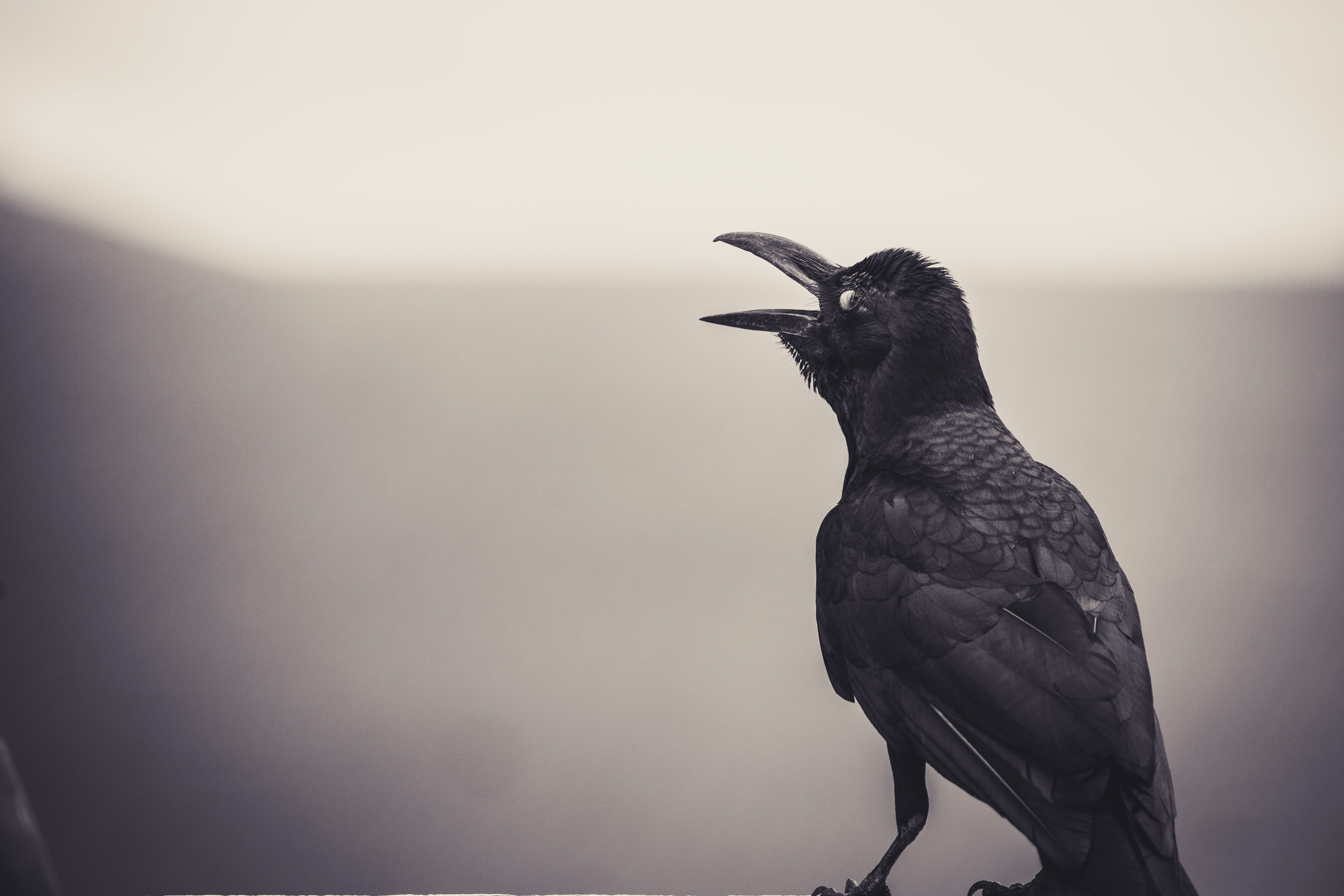 Photo by wildandbeyondbyvivek