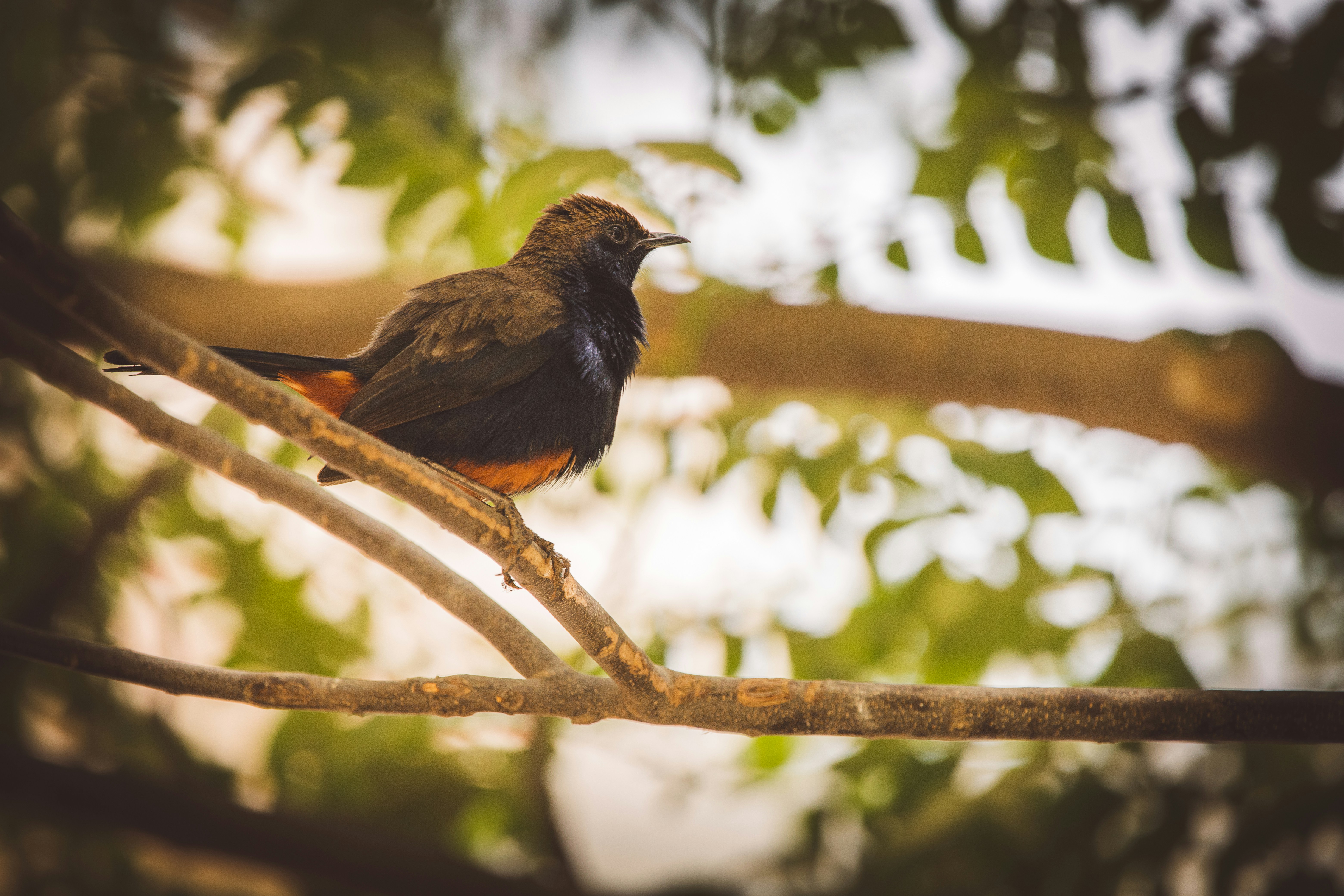 Photo by wildandbeyondbyvivek