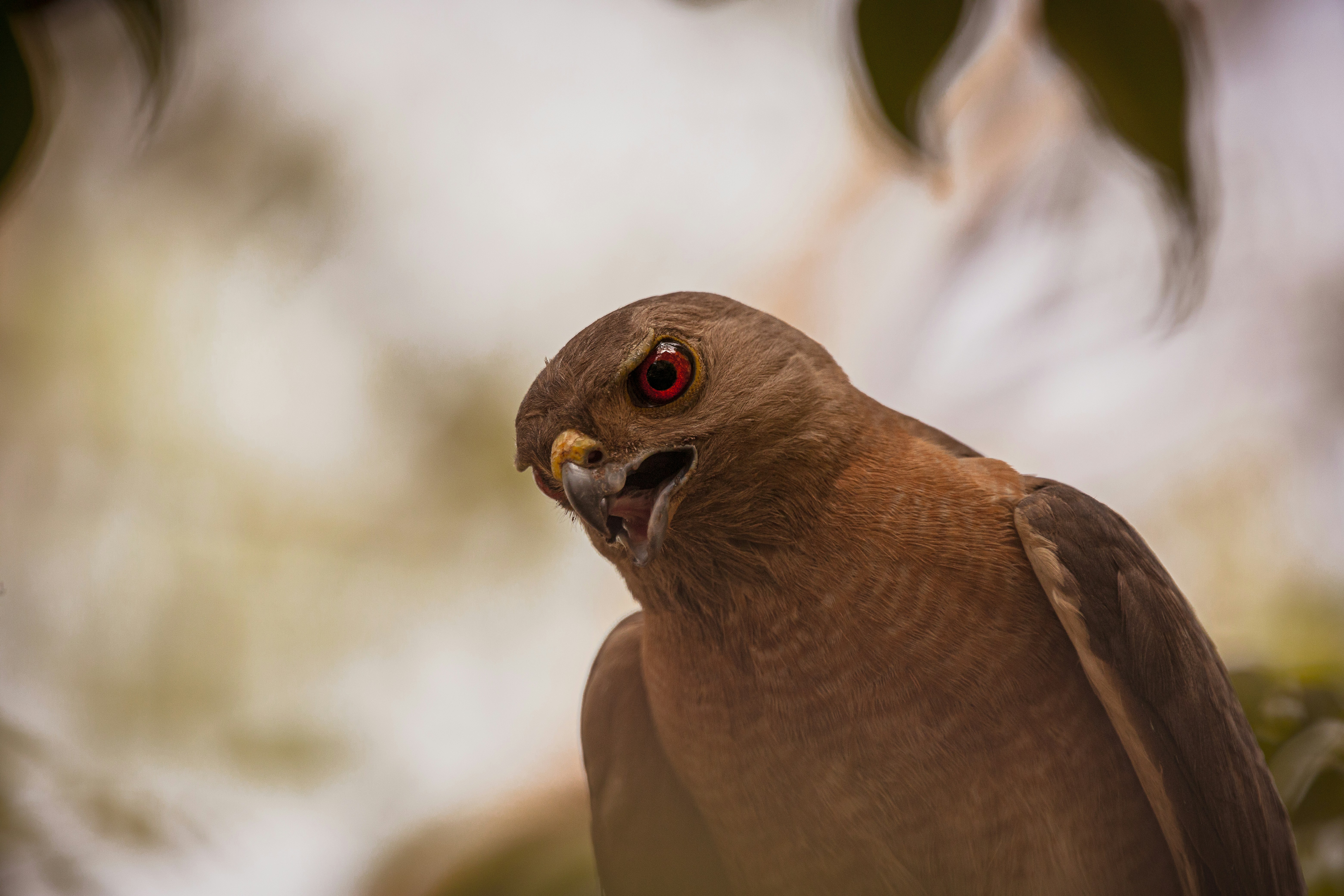 Photo by wildandbeyondbyvivek