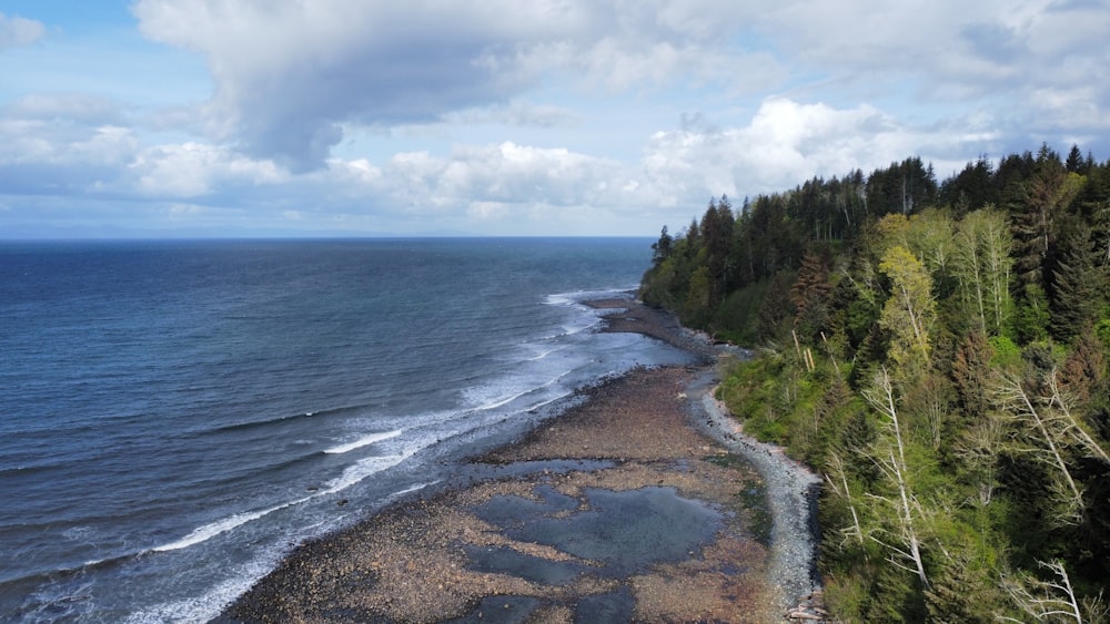 a scenic view of a beach and a forest