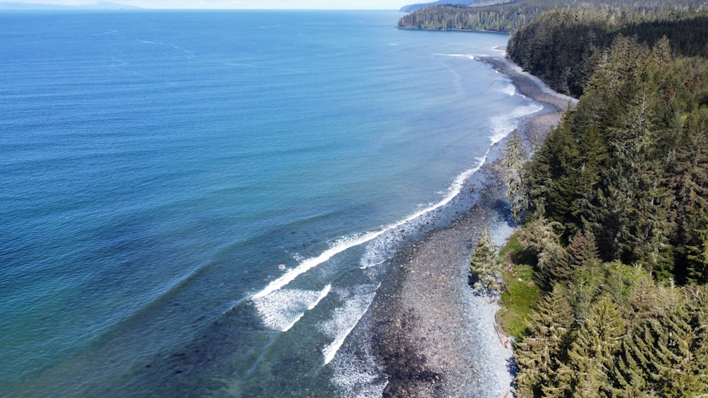 an aerial view of a beach with trees and water