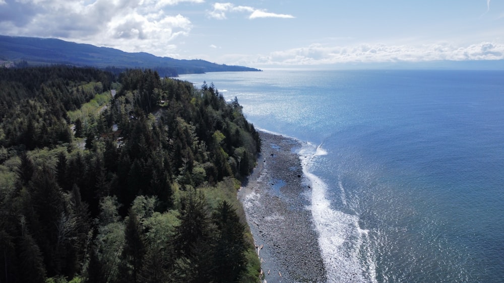 an aerial view of a beach and trees