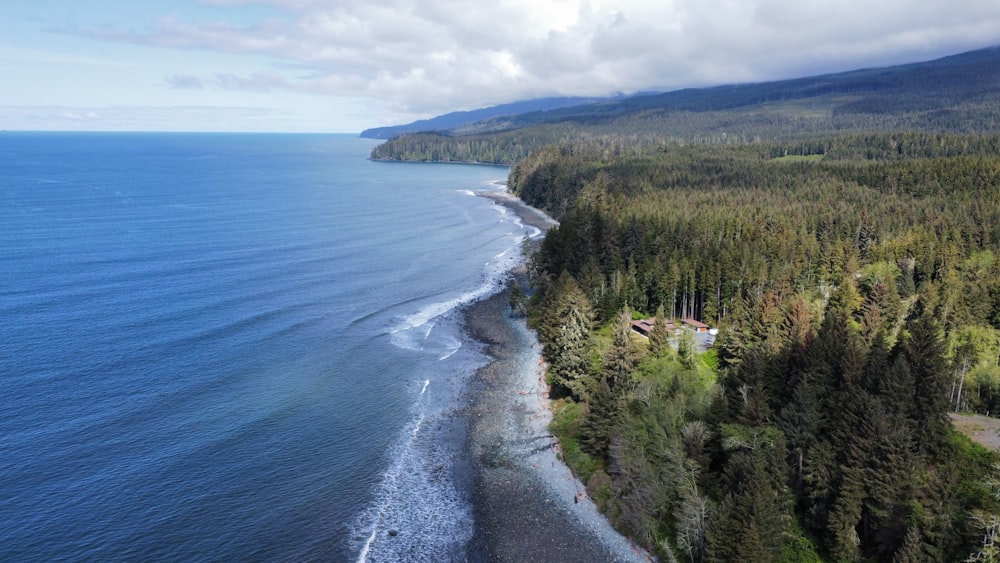 an aerial view of a beach and forested area