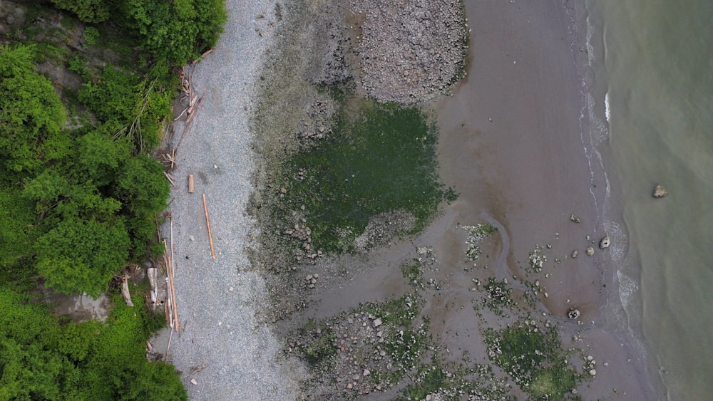 a bird's eye view of a beach and trees