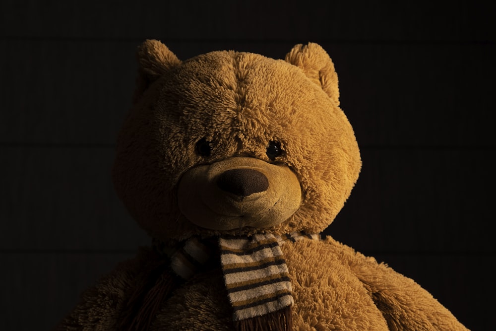 a brown teddy bear wearing a striped scarf