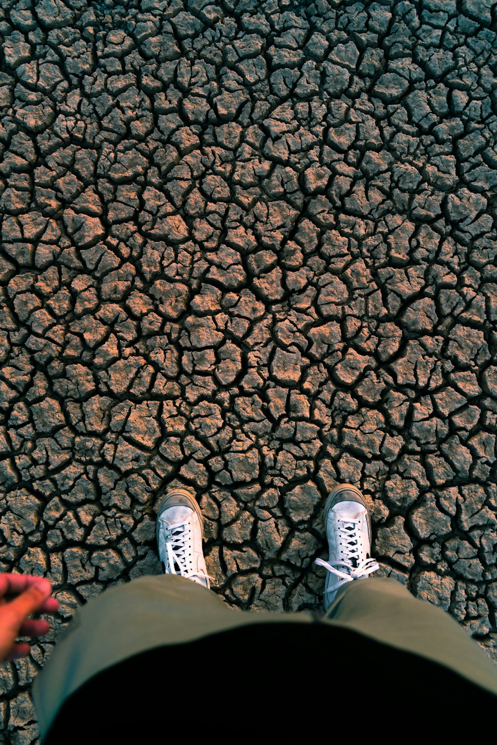 a person standing in the middle of a cracked road