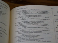 A poet reading verses with expressive gestures in a cozy library.