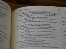 An open book displaying text, with visible page numbers and sections emphasizing poetry. The lighting creates a cozy atmosphere with shadows on the pages.