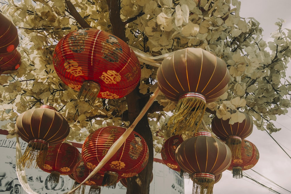 a bunch of red lanterns hanging from a tree