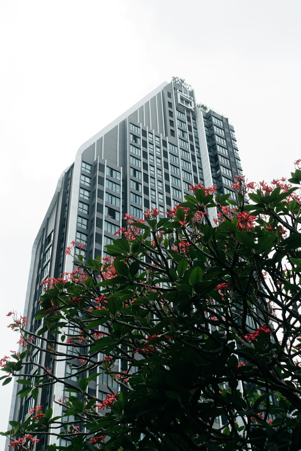 a very tall building with a bunch of windows