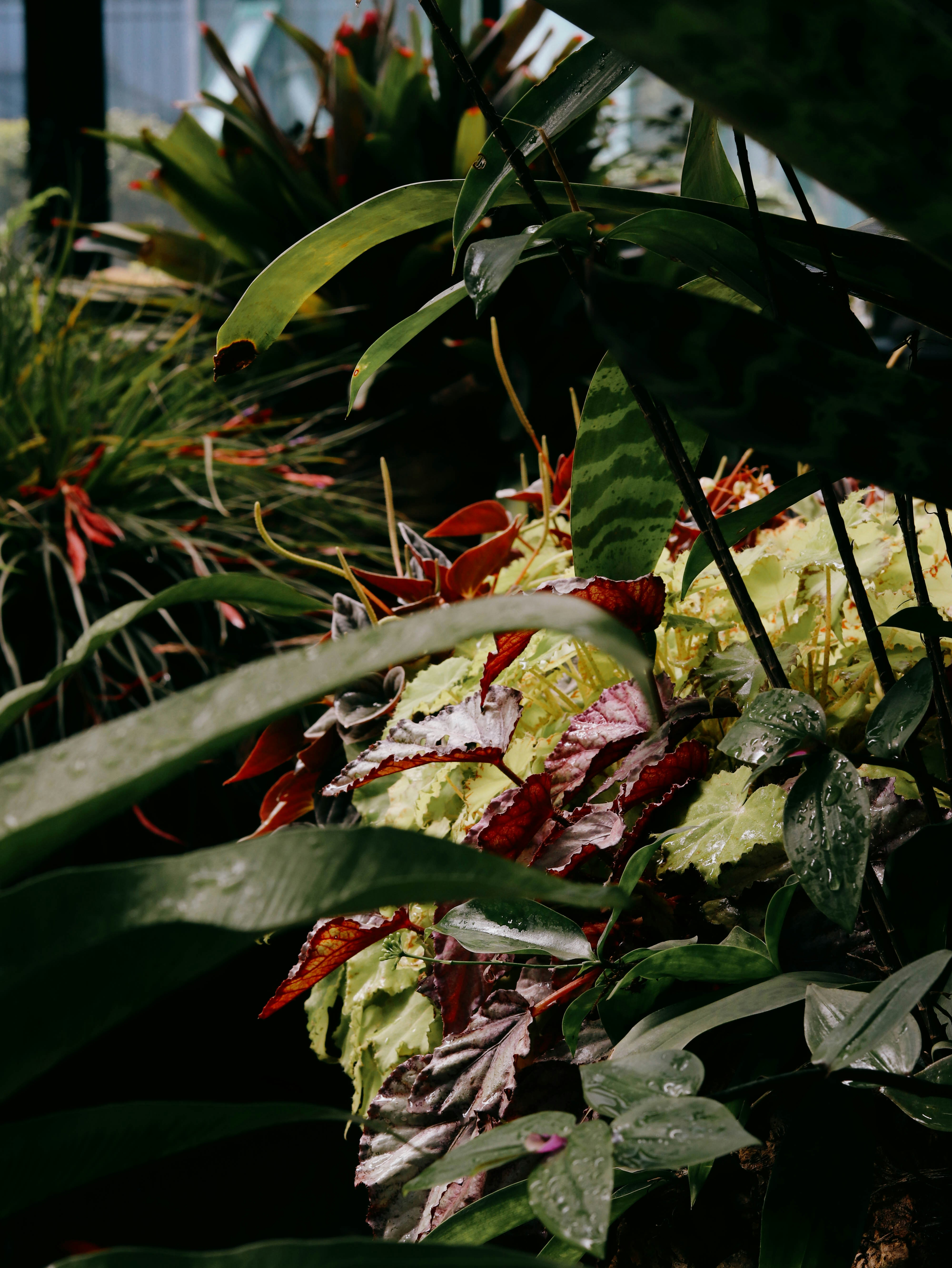 Photo by rlldied