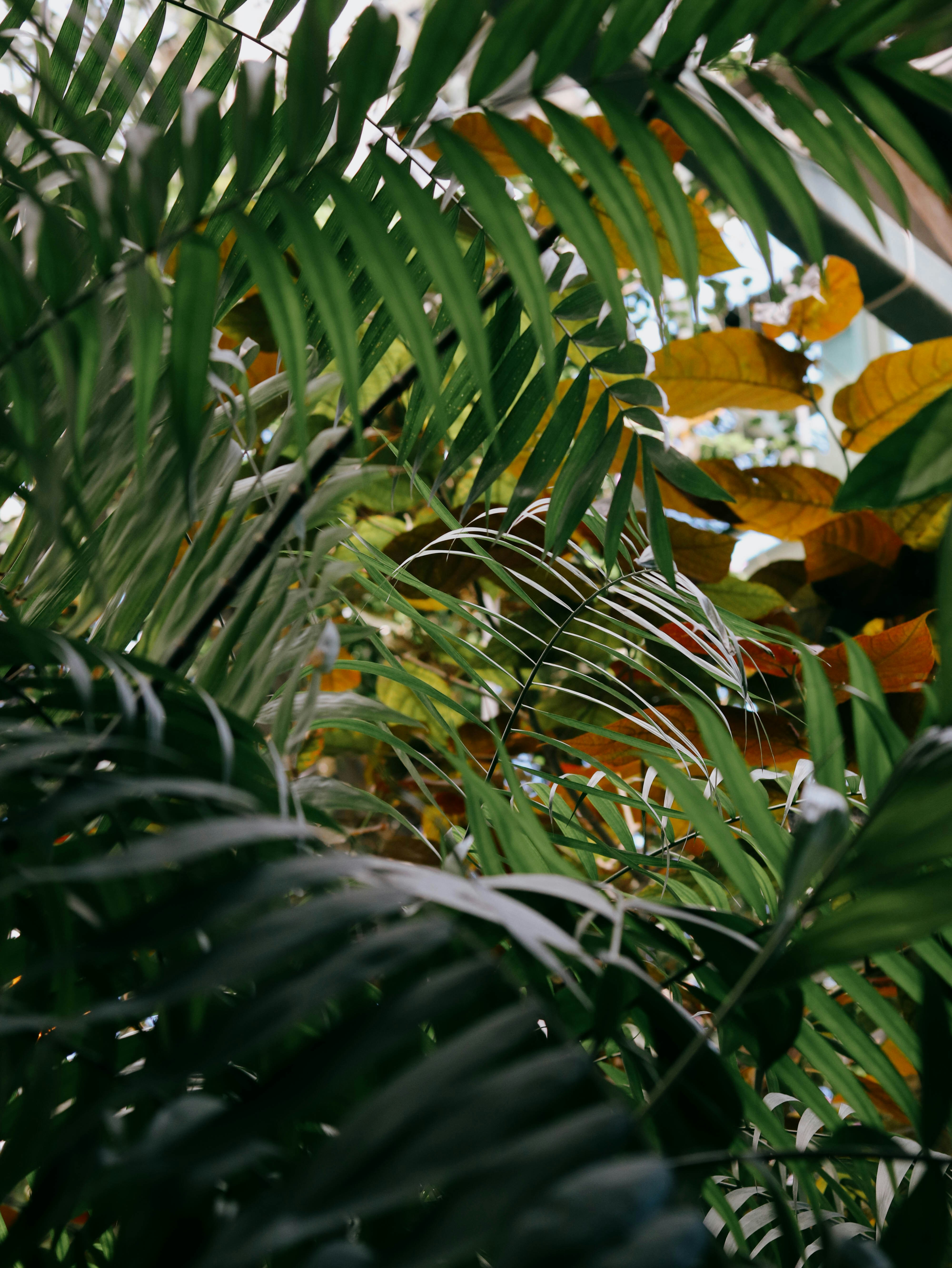 Photo by rlldied