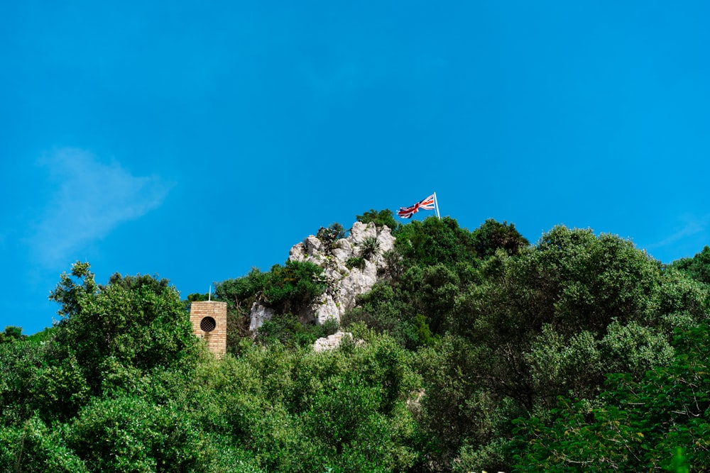 eine Flagge auf einem Berg mit Bäumen