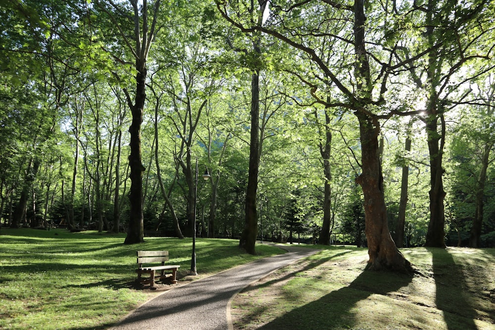 a park bench sitting in the middle of a lush green park