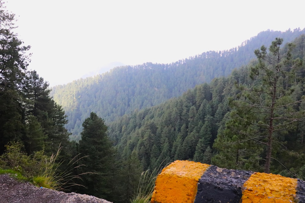 a view of a forest with a mountain in the background