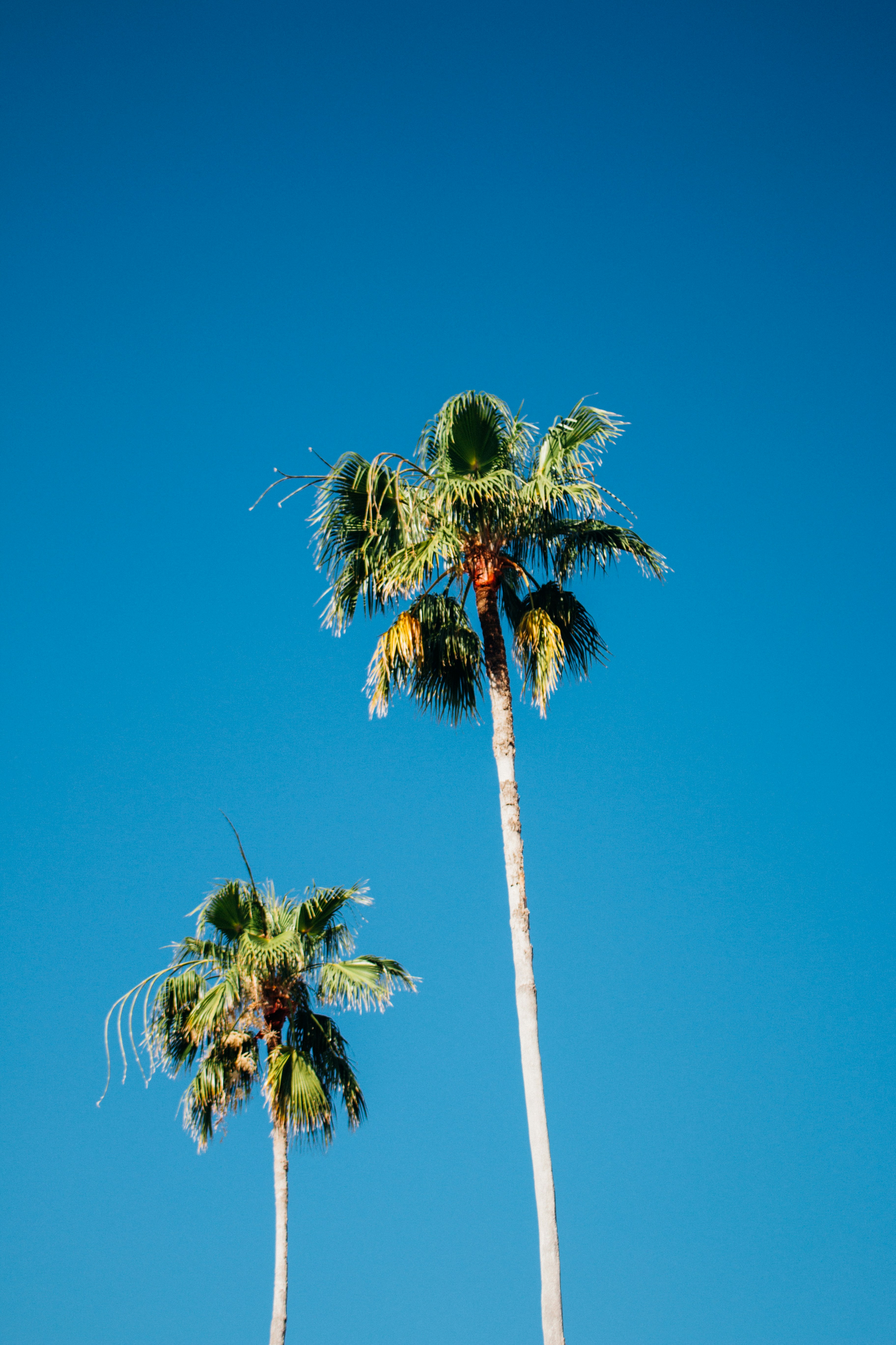 Photo by jamesbutterly