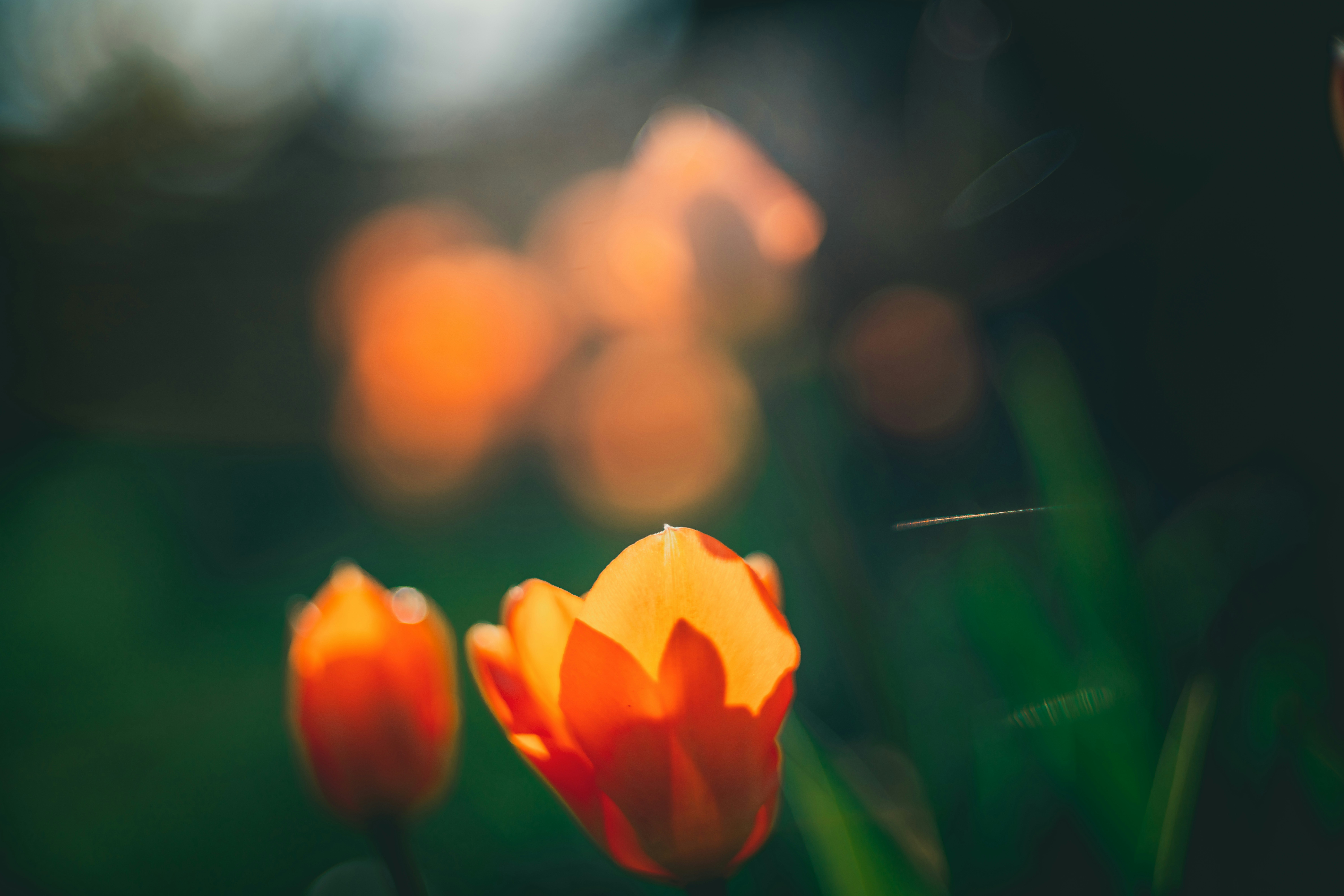 Photo by raimondklavins