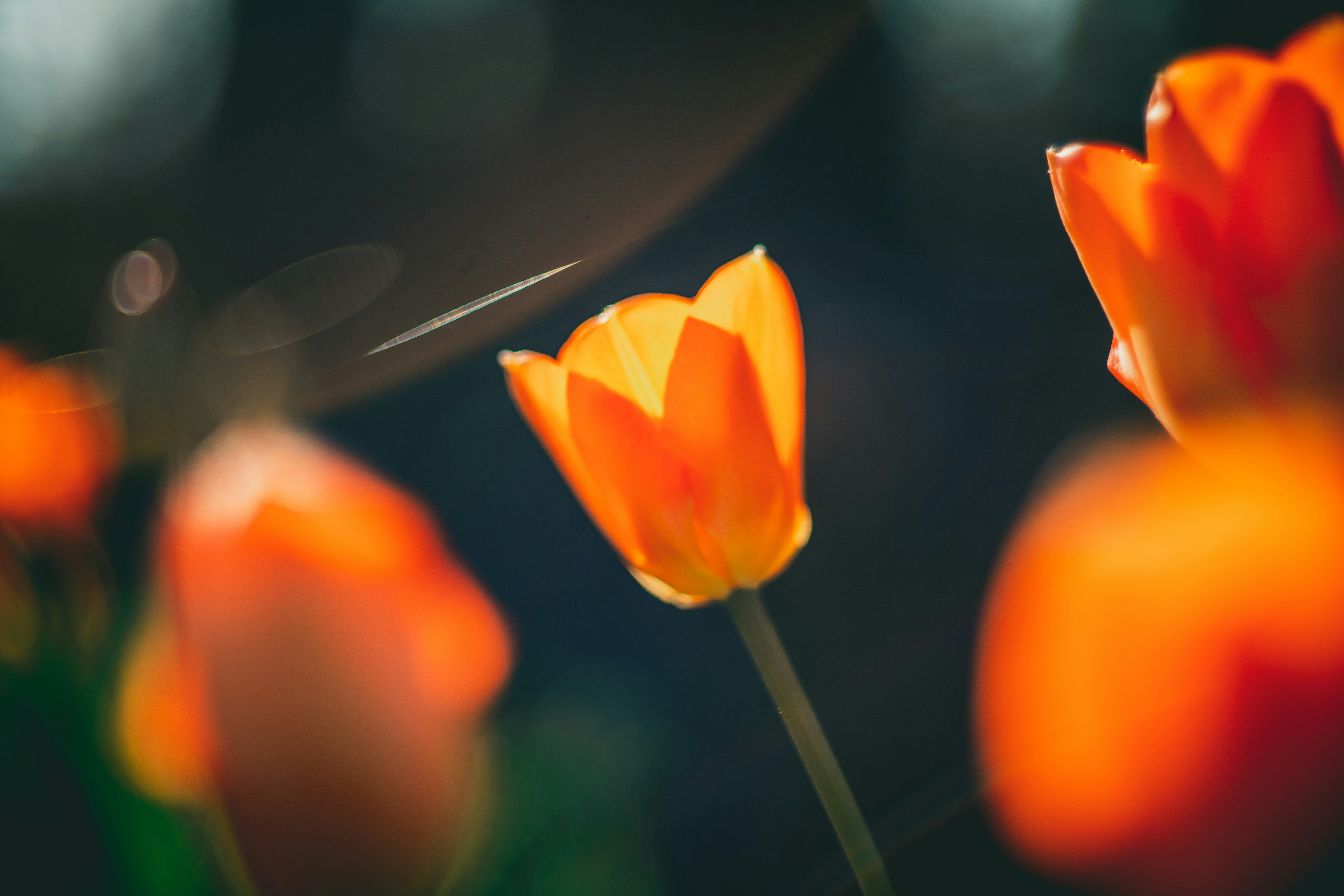 Photo by raimondklavins