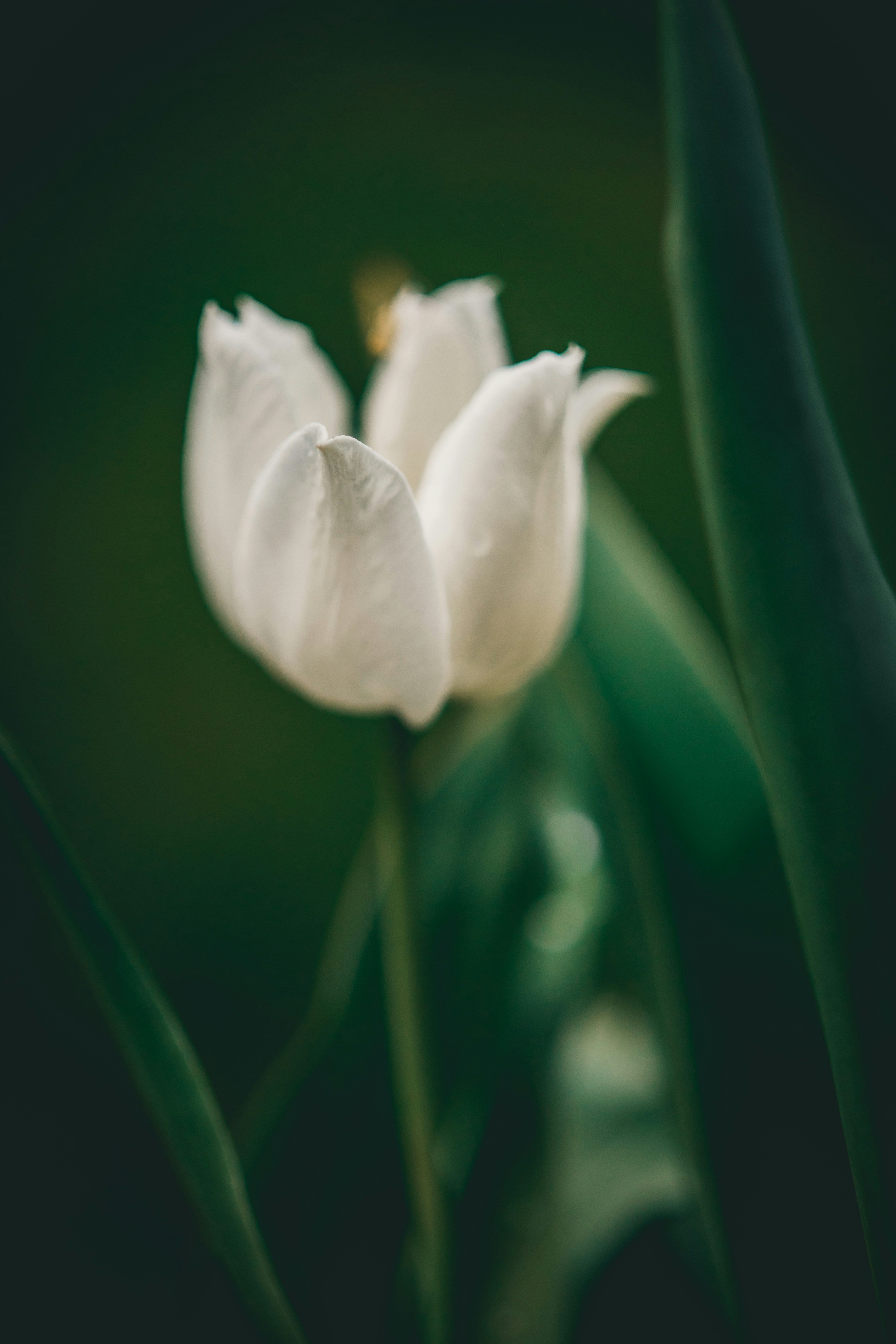 Photo by raimondklavins