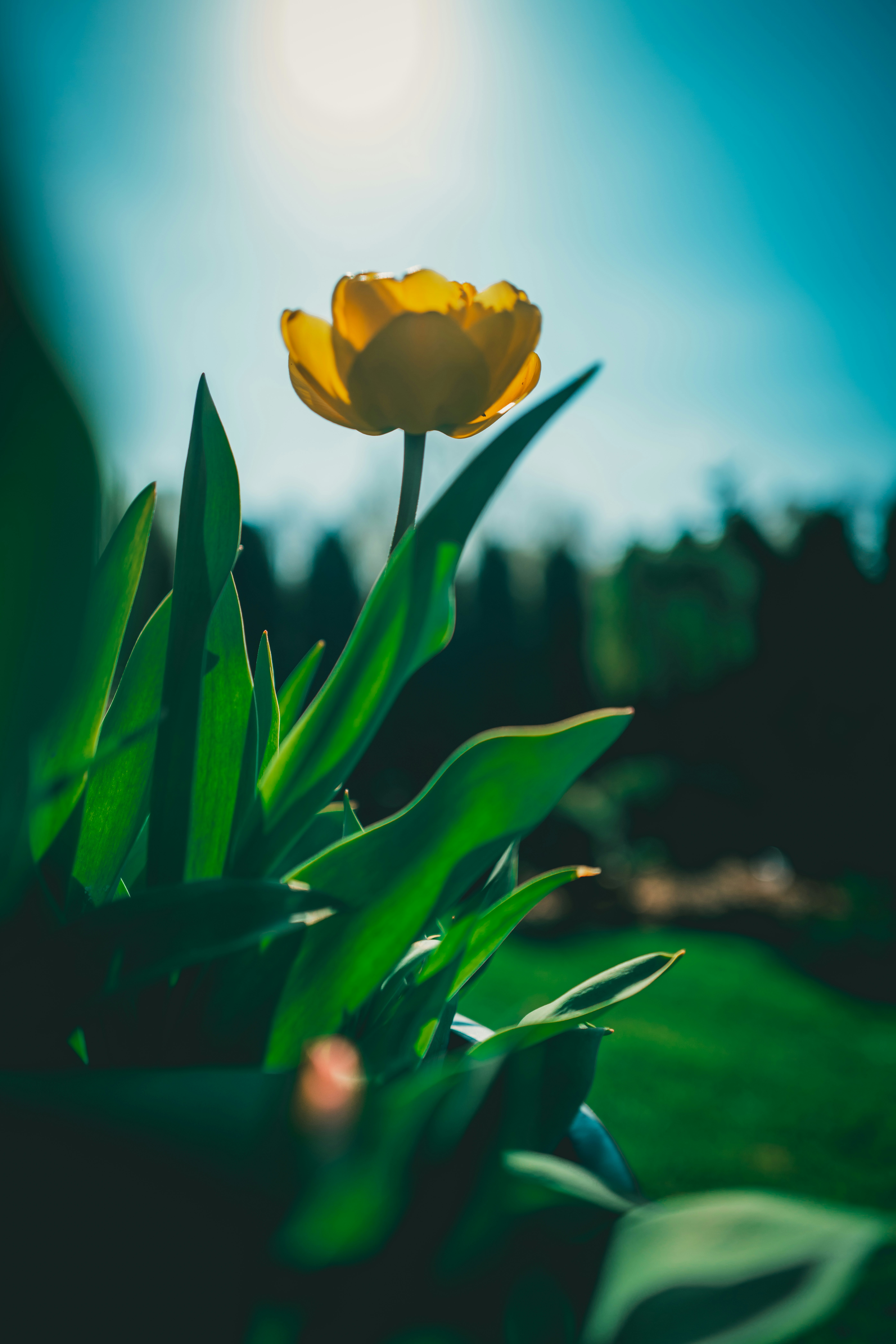 Photo by raimondklavins