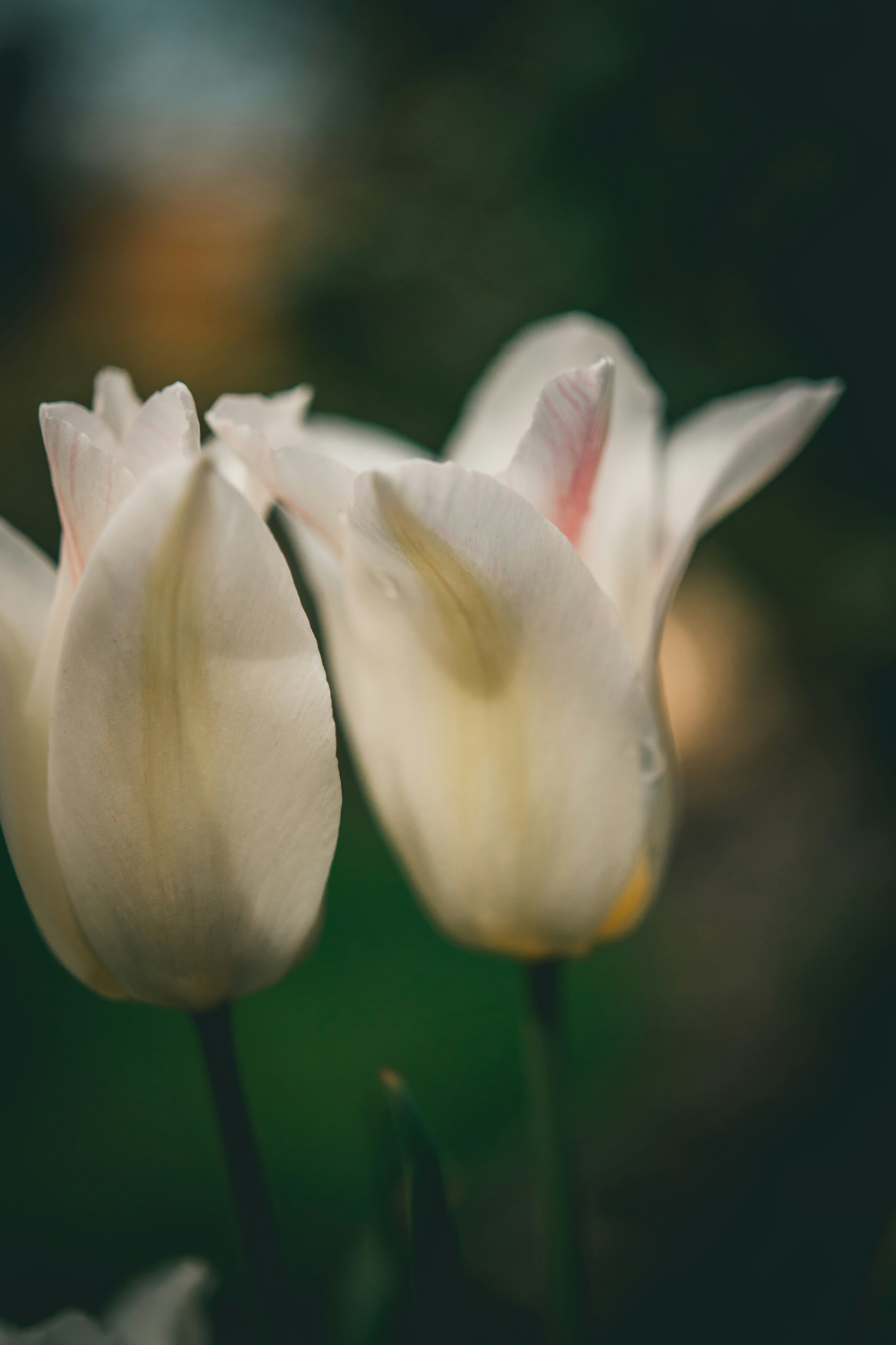 Photo by raimondklavins