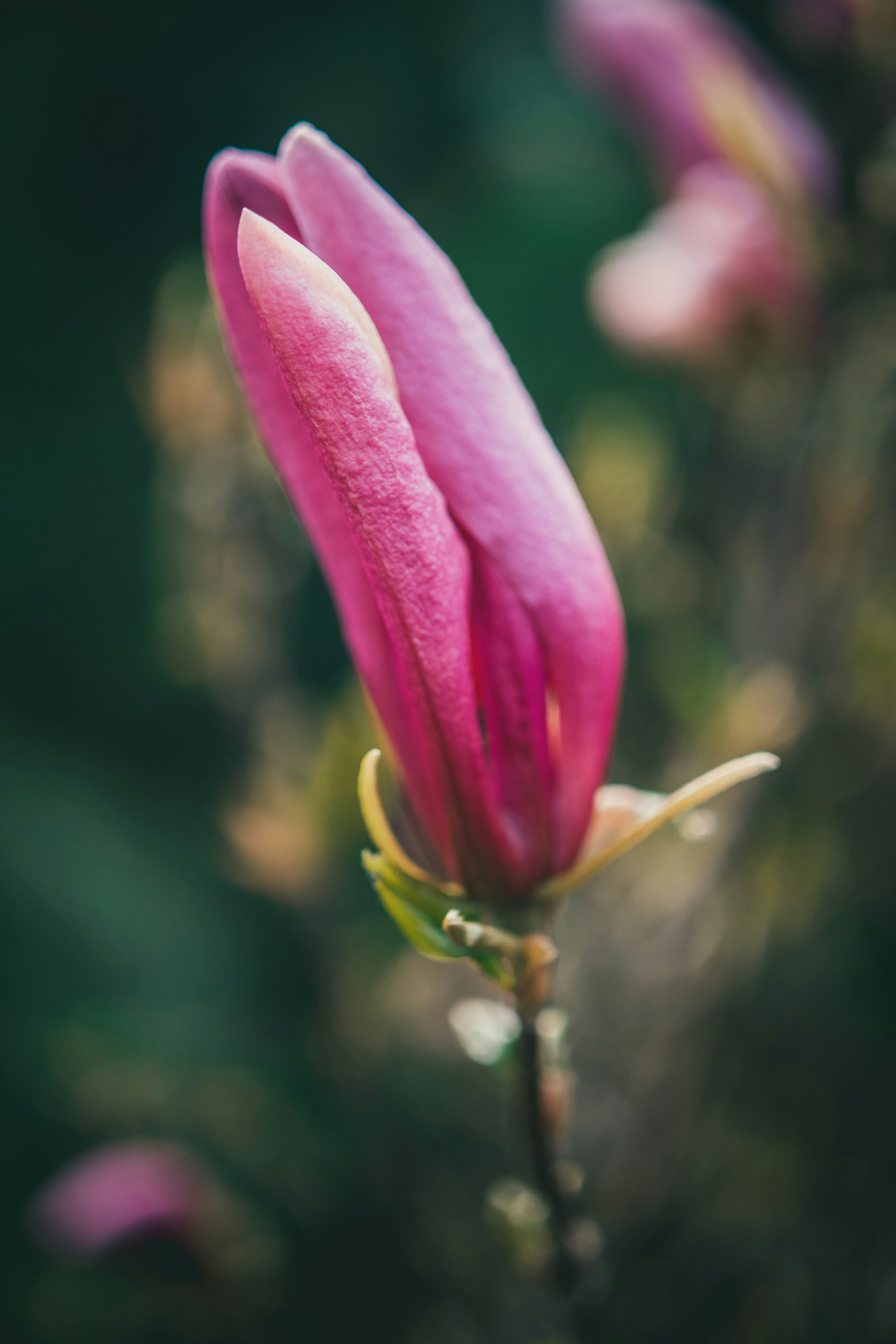 Photo by raimondklavins