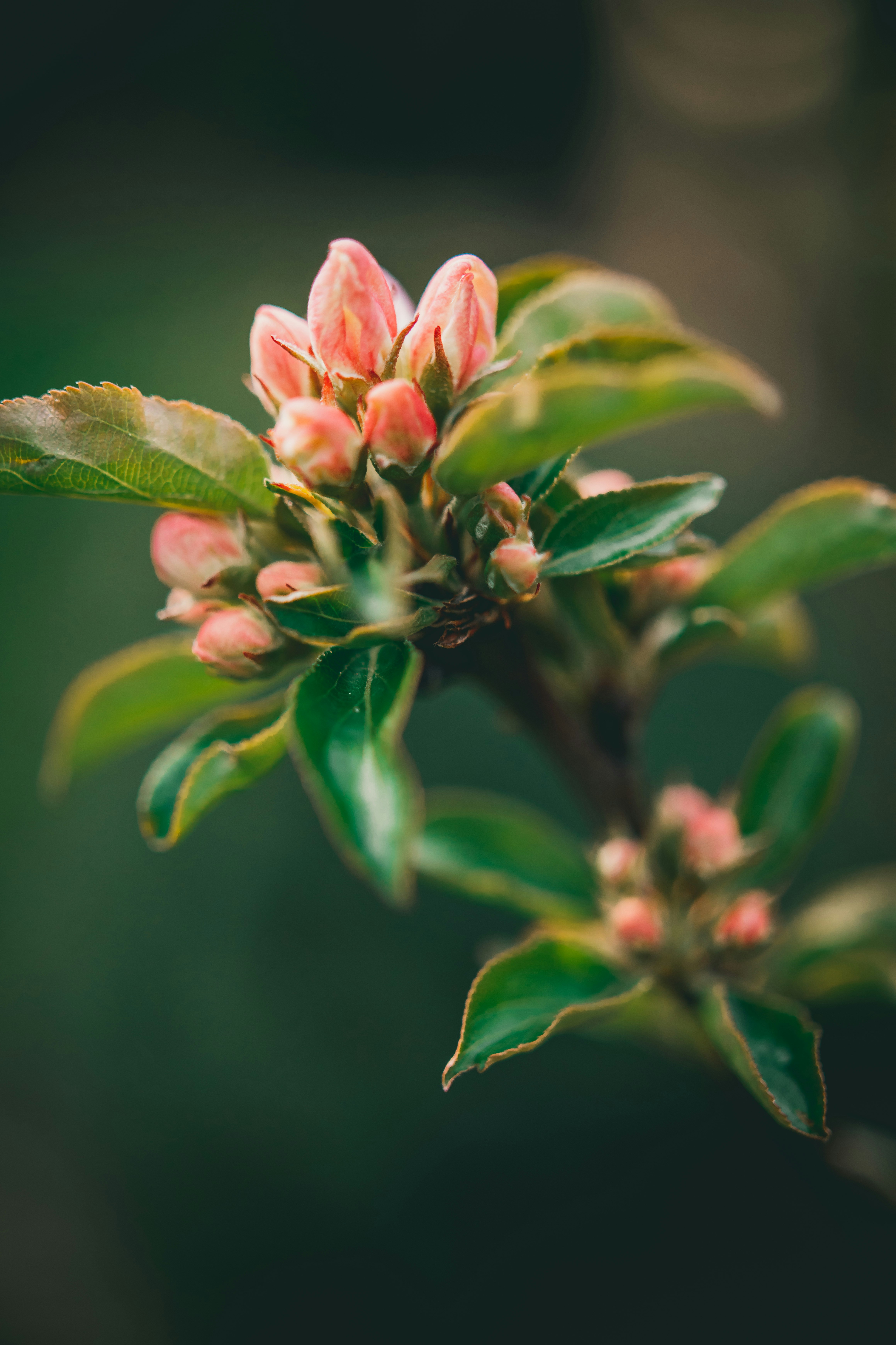 Photo by raimondklavins