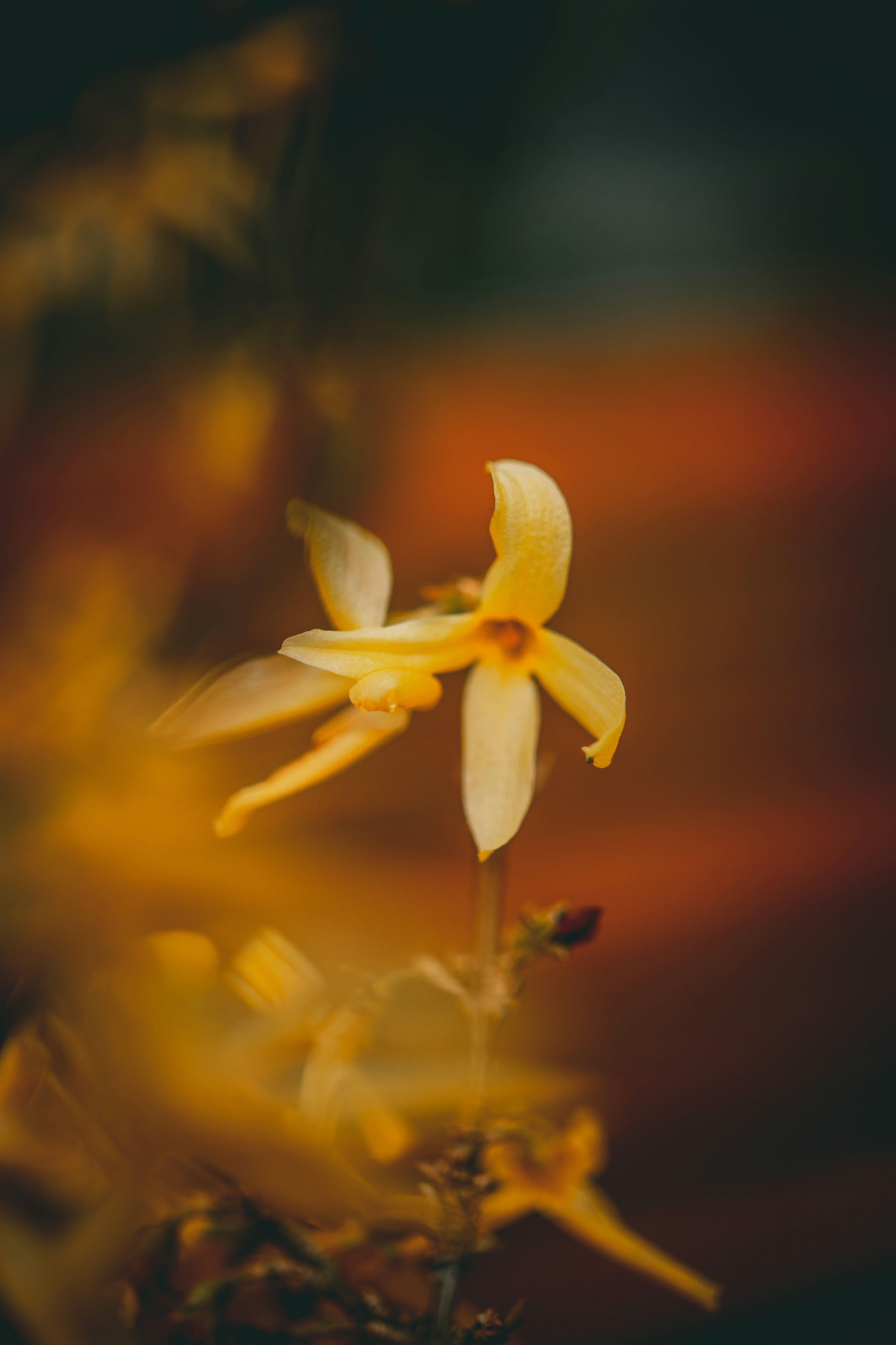 Photo by raimondklavins