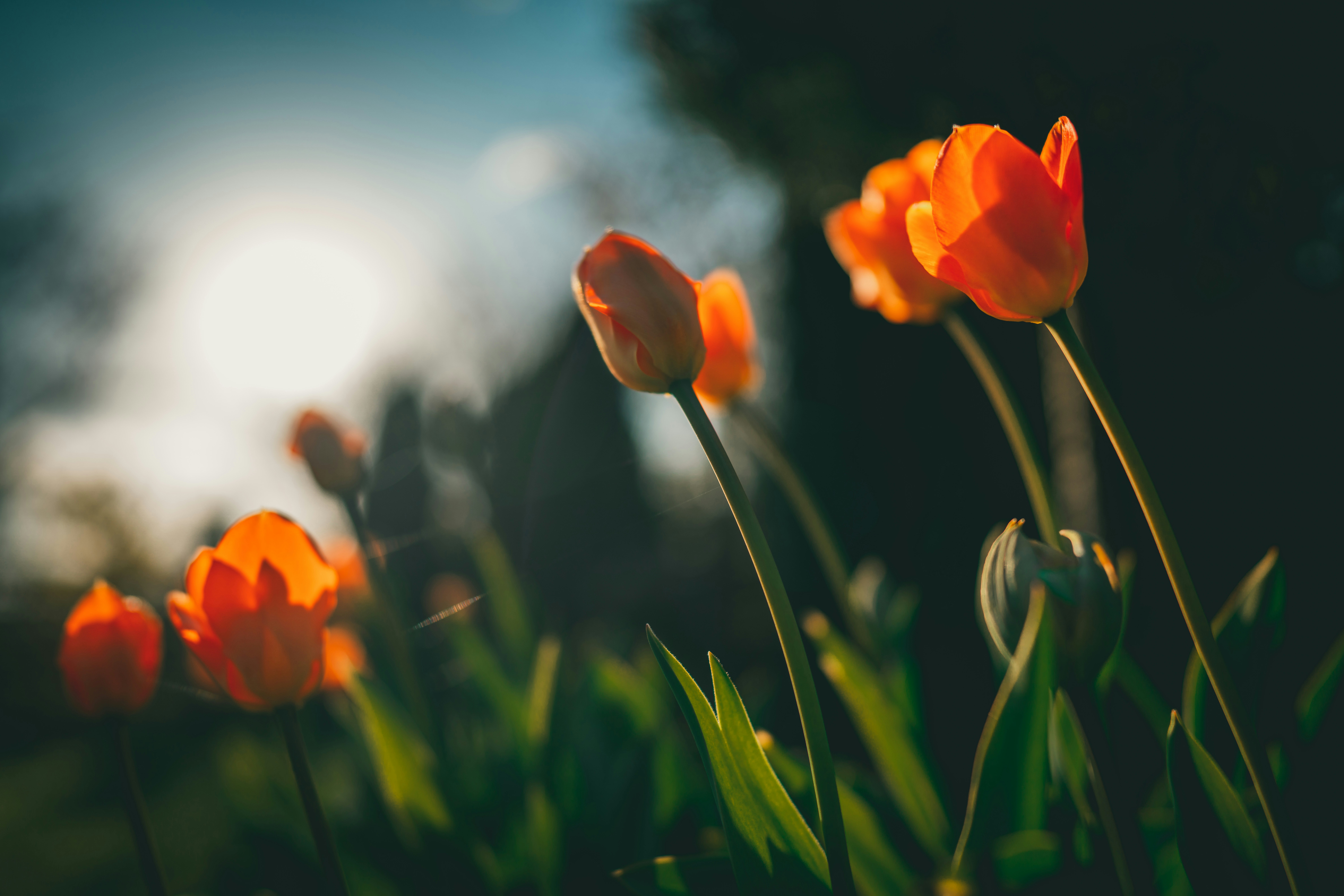 Photo by raimondklavins